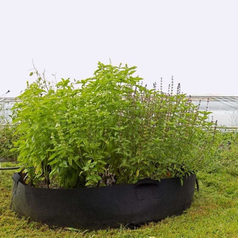 bootstrap-farmer-100-gallon-grow-bag-with-reinforced-handles image 4