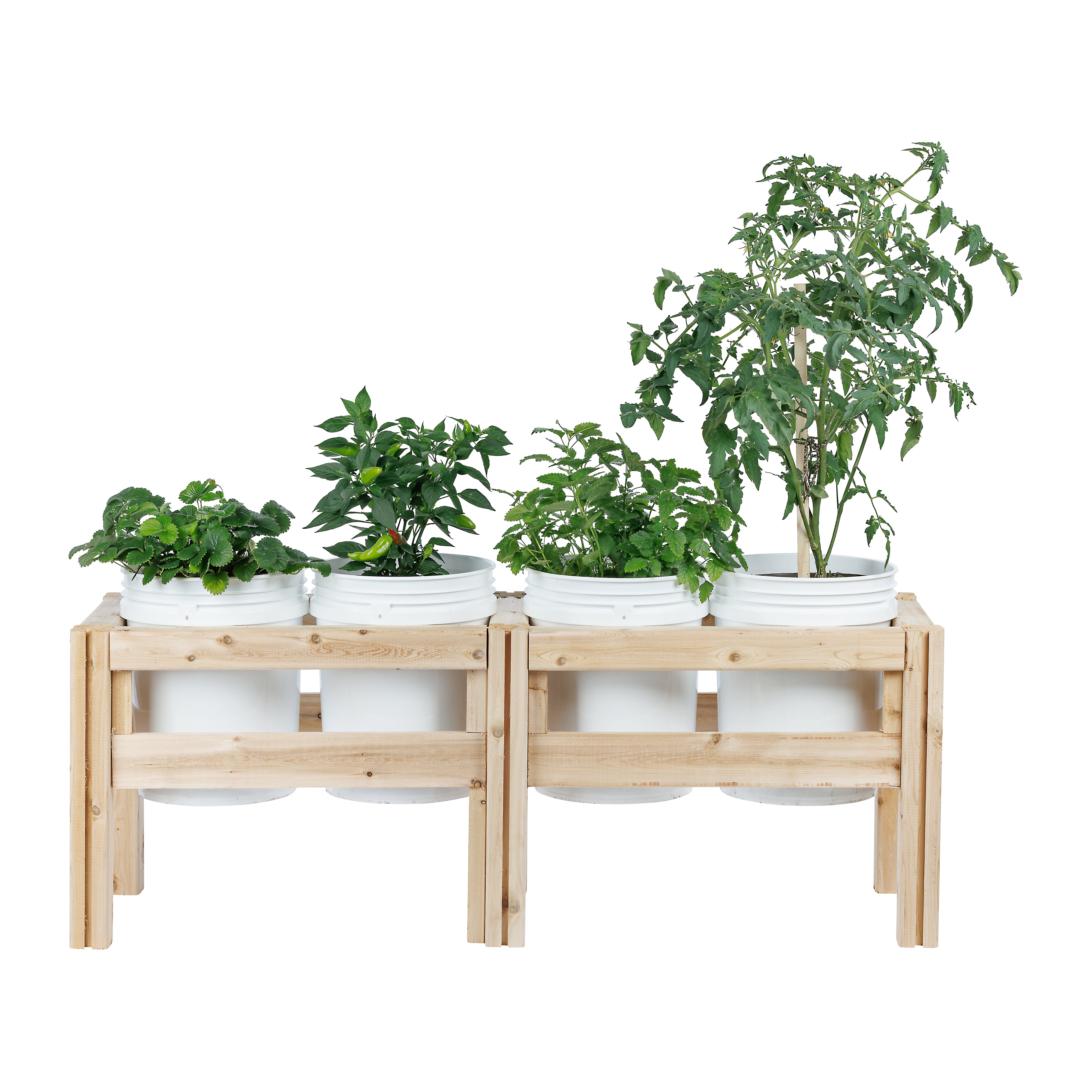 greenes-fence-four-bucket-elevated-cedar-wood-garden-frame-54-x-16-x-20-or-30-rc image 3