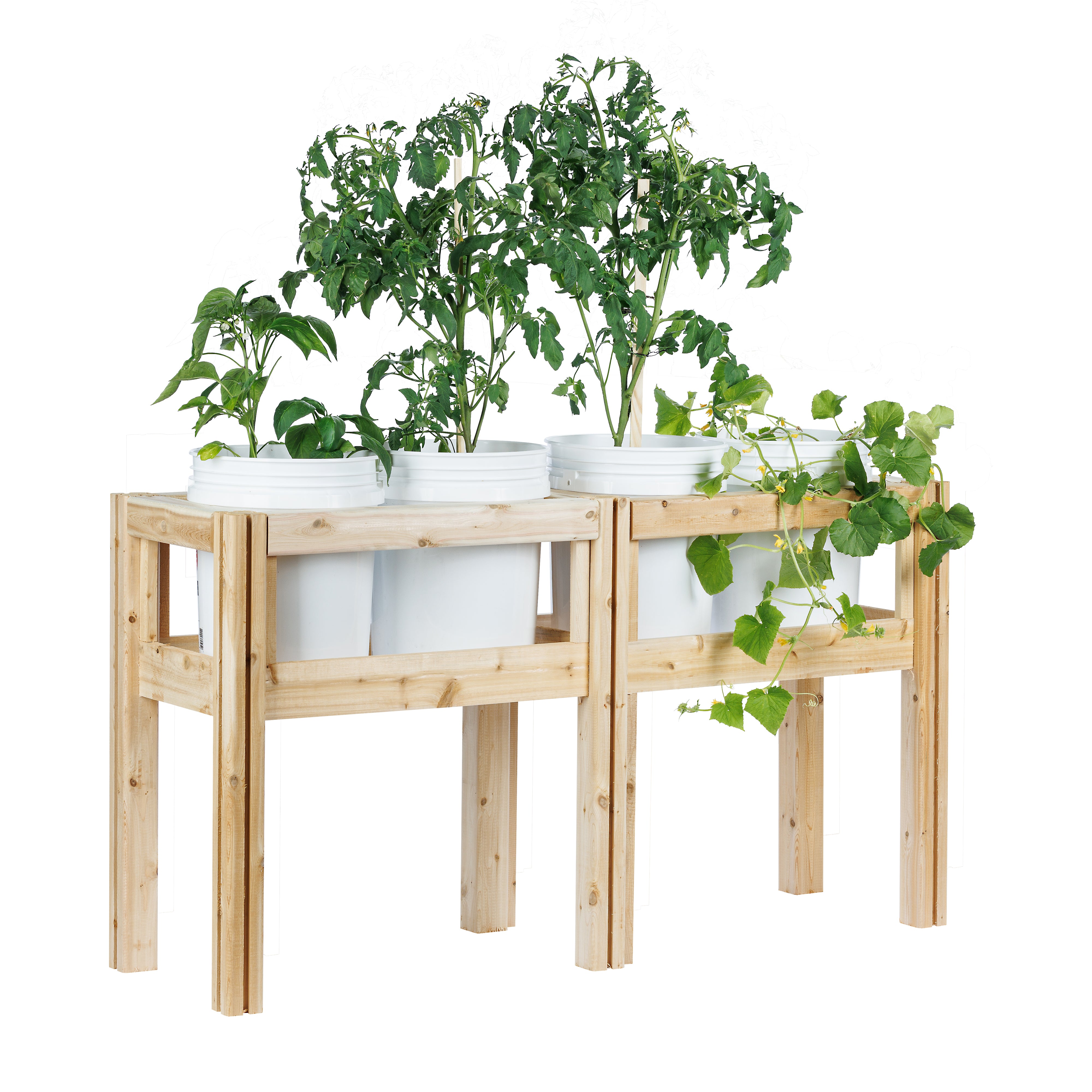 greenes-fence-four-bucket-elevated-cedar-wood-garden-frame-54-x-16-x-20-or-30-rc image 7
