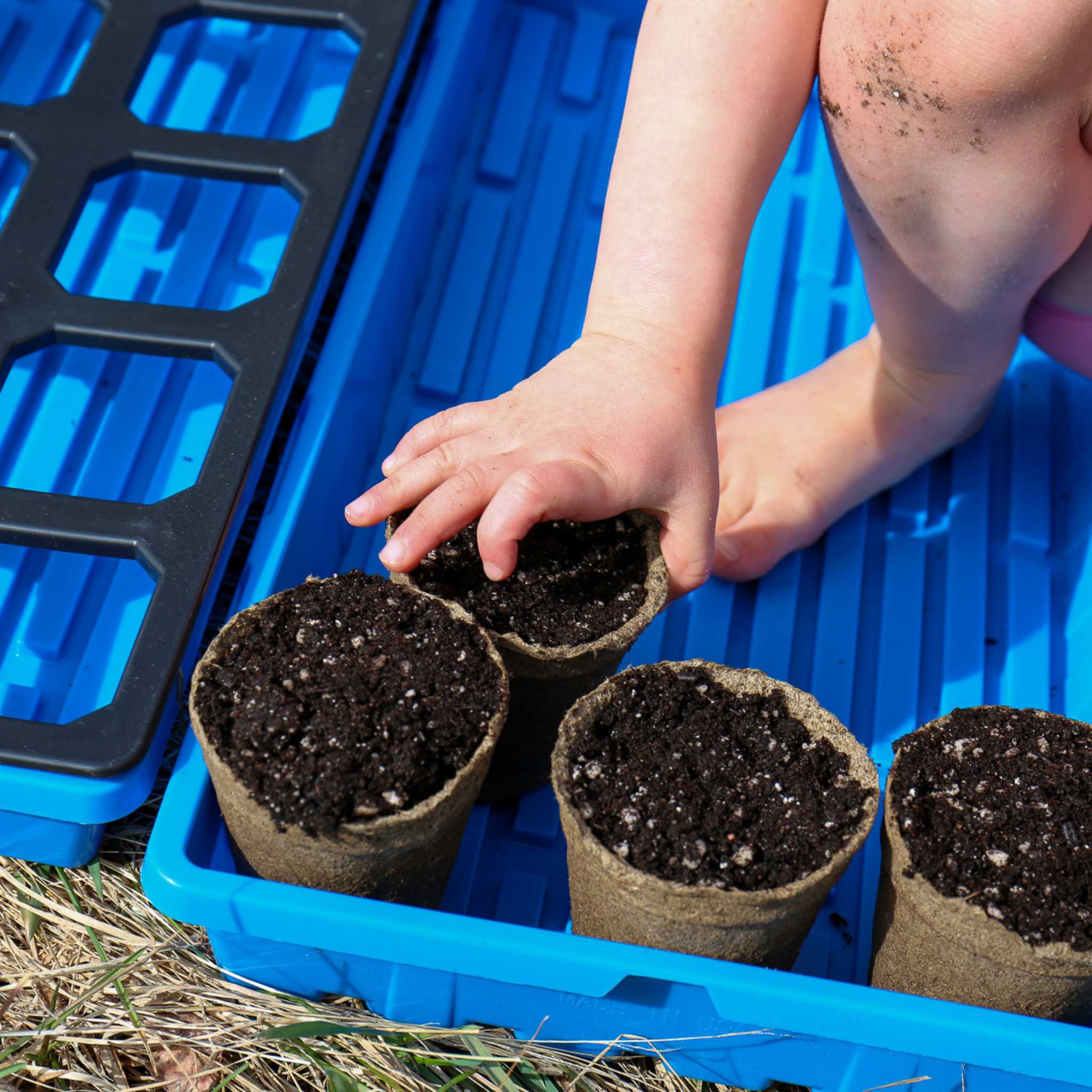 bootstrap-farmer-cowpots-3-round-biodegradable-seed-starter-pots image 4
