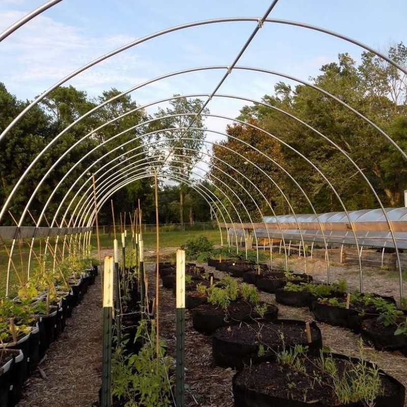 bootstrap-farmer-100-gallon-grow-bag-with-reinforced-handles image 3