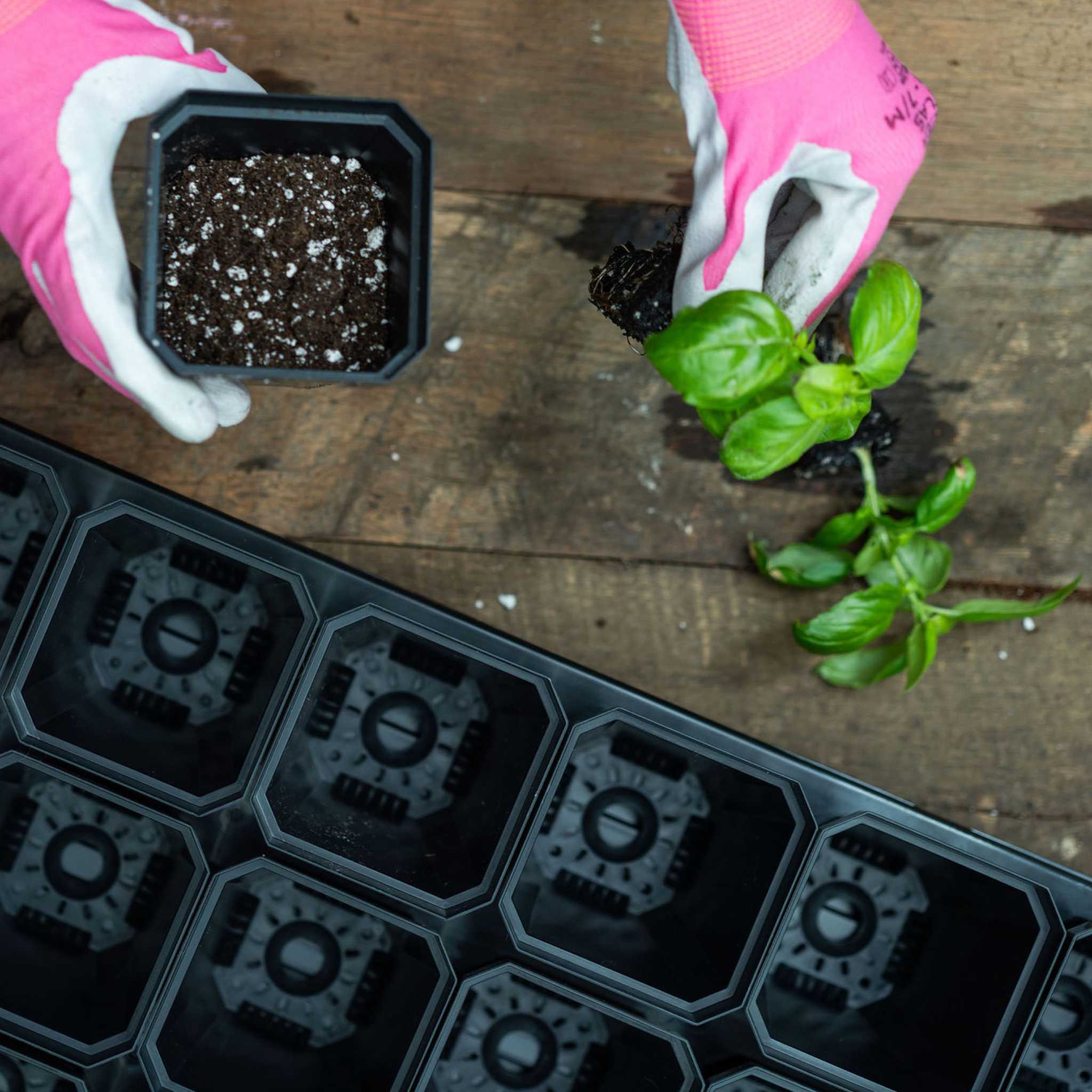 bootstrap-farmer-3-3-heavy-duty-seed-starting-pots-reusable-seedling-pots-for-10 image 4