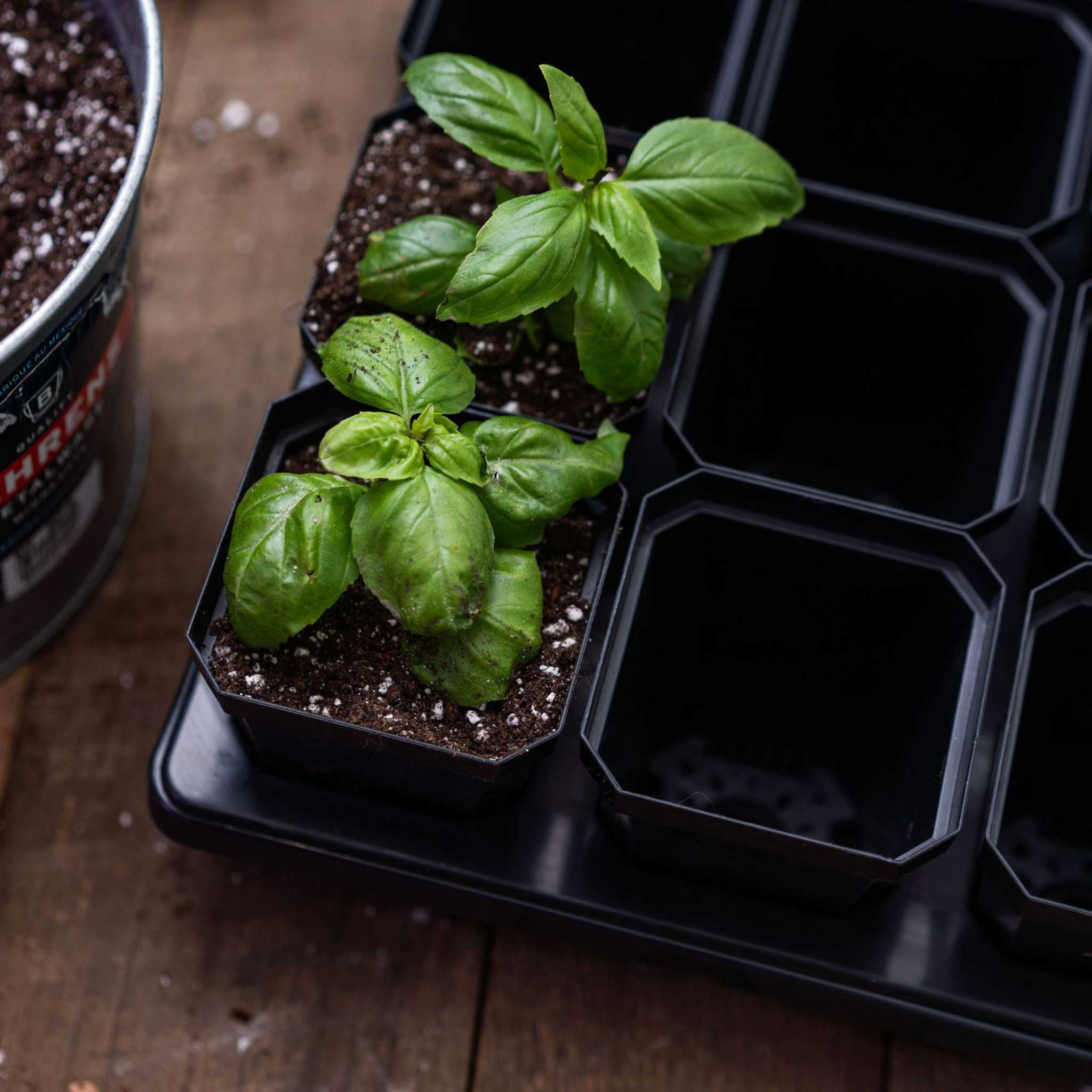 bootstrap-farmer-3-3-heavy-duty-seed-starting-pots-reusable-seedling-pots-for-10 image 5