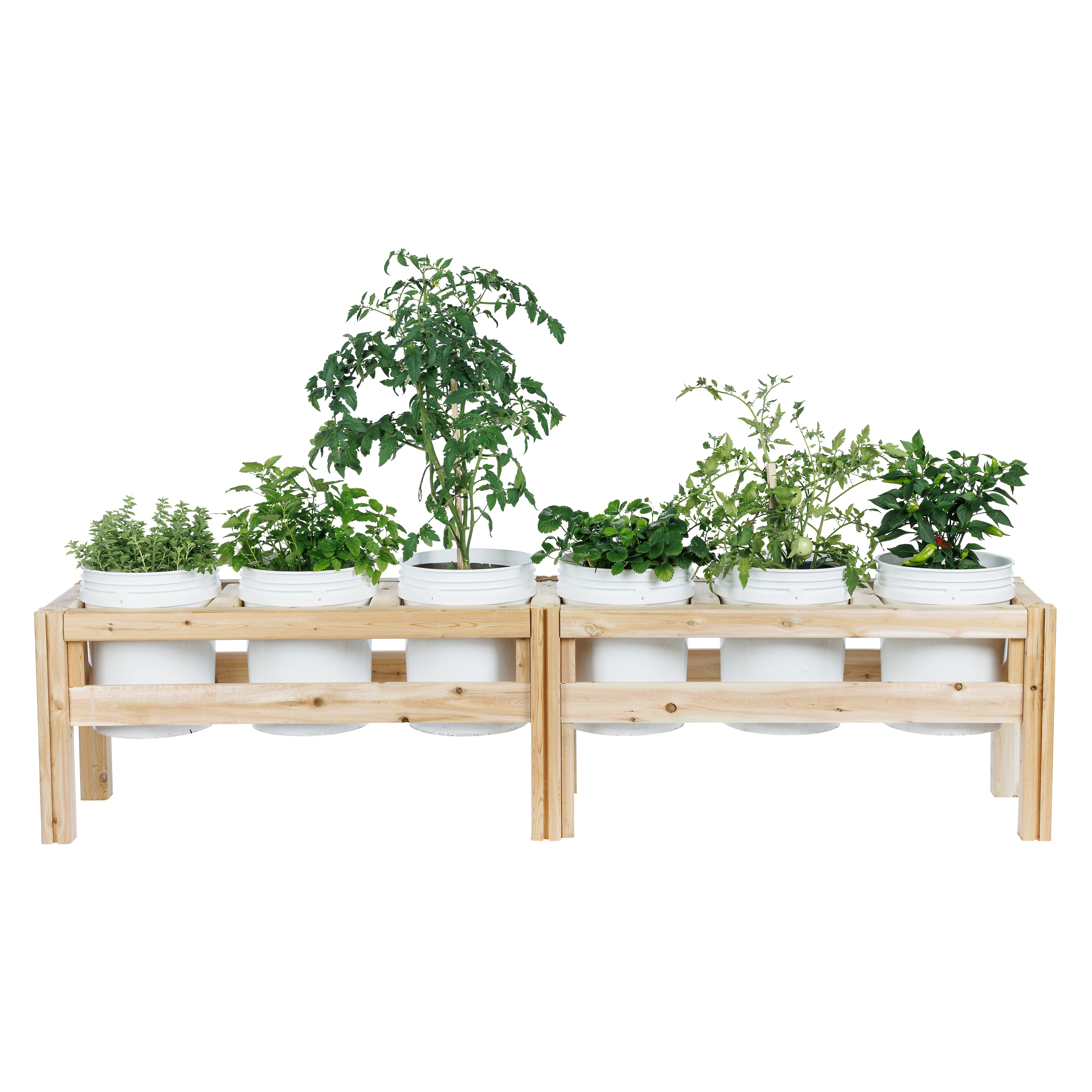 greenes-fence-six-bucket-elevated-cedar-wood-garden-frame-84-in-x-16-in-x-20-or- image 3