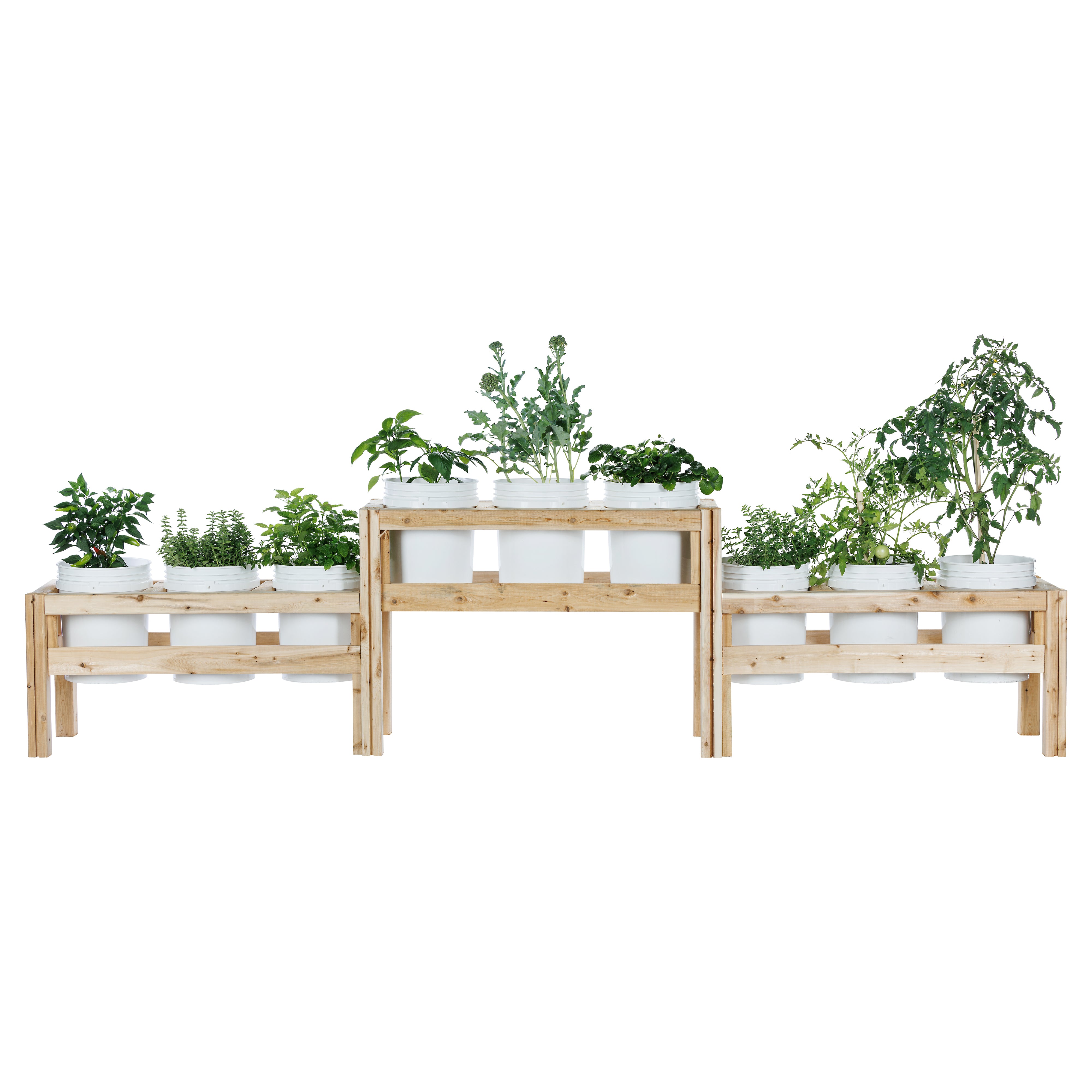 greenes-fence-two-tier-nine-bucket-elevated-cedar-wood-garden-frame-125-in-x-16- image 3