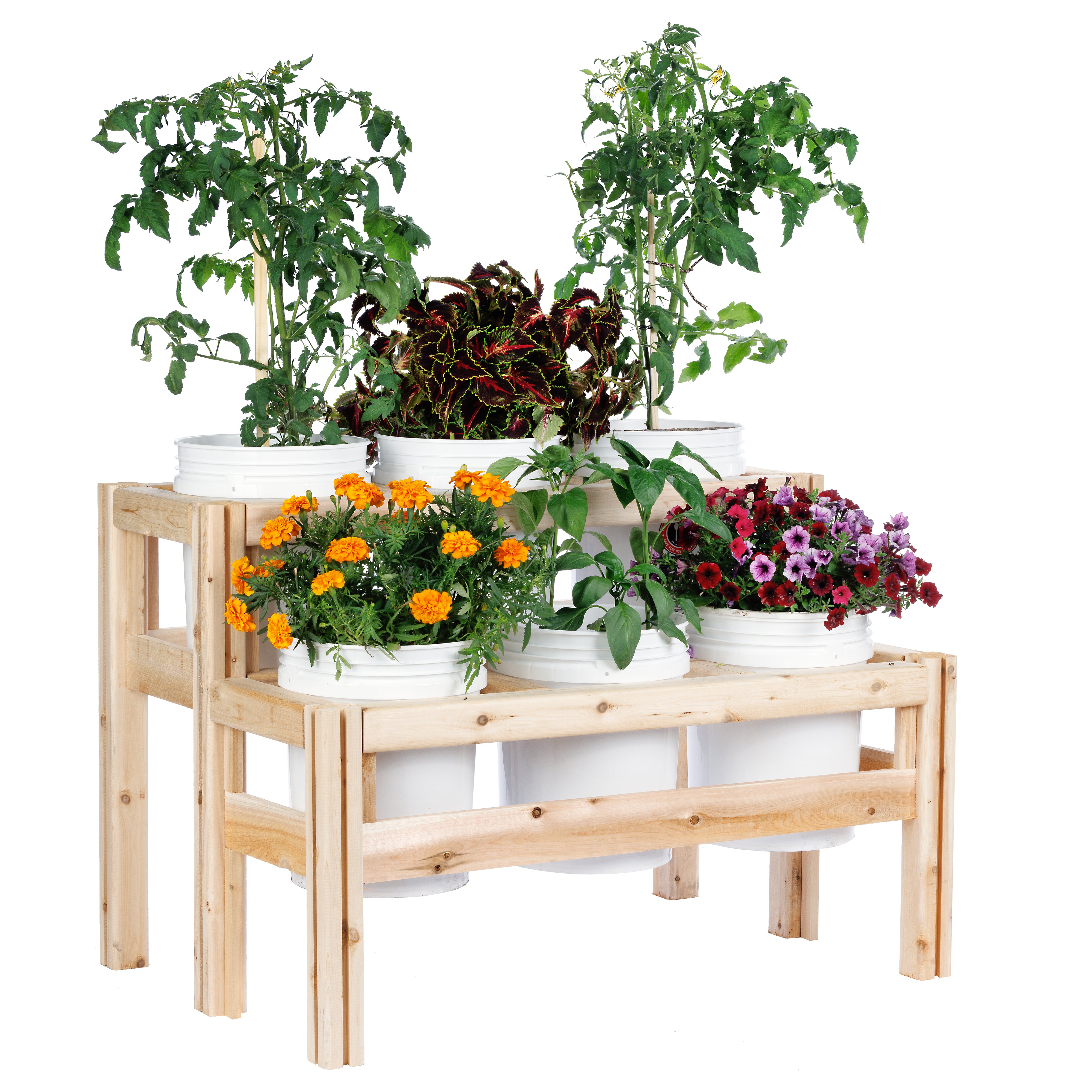 greenes-fence-two-tier-six-bucket-elevated-cedar-wood-garden-frame-43-in-x-30-in image 1