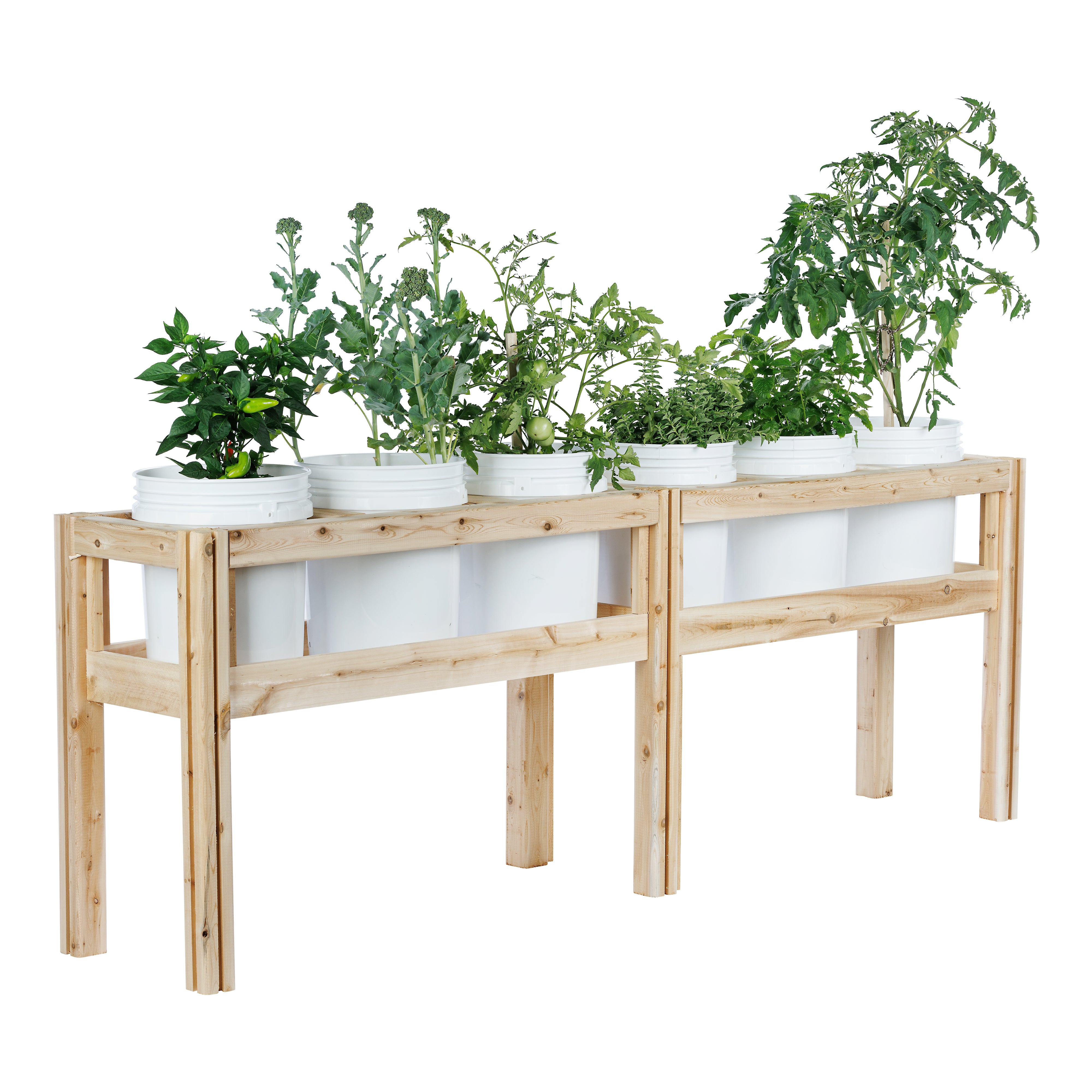 greenes-fence-six-bucket-elevated-cedar-wood-garden-frame-84-in-x-16-in-x-20-or- image 7