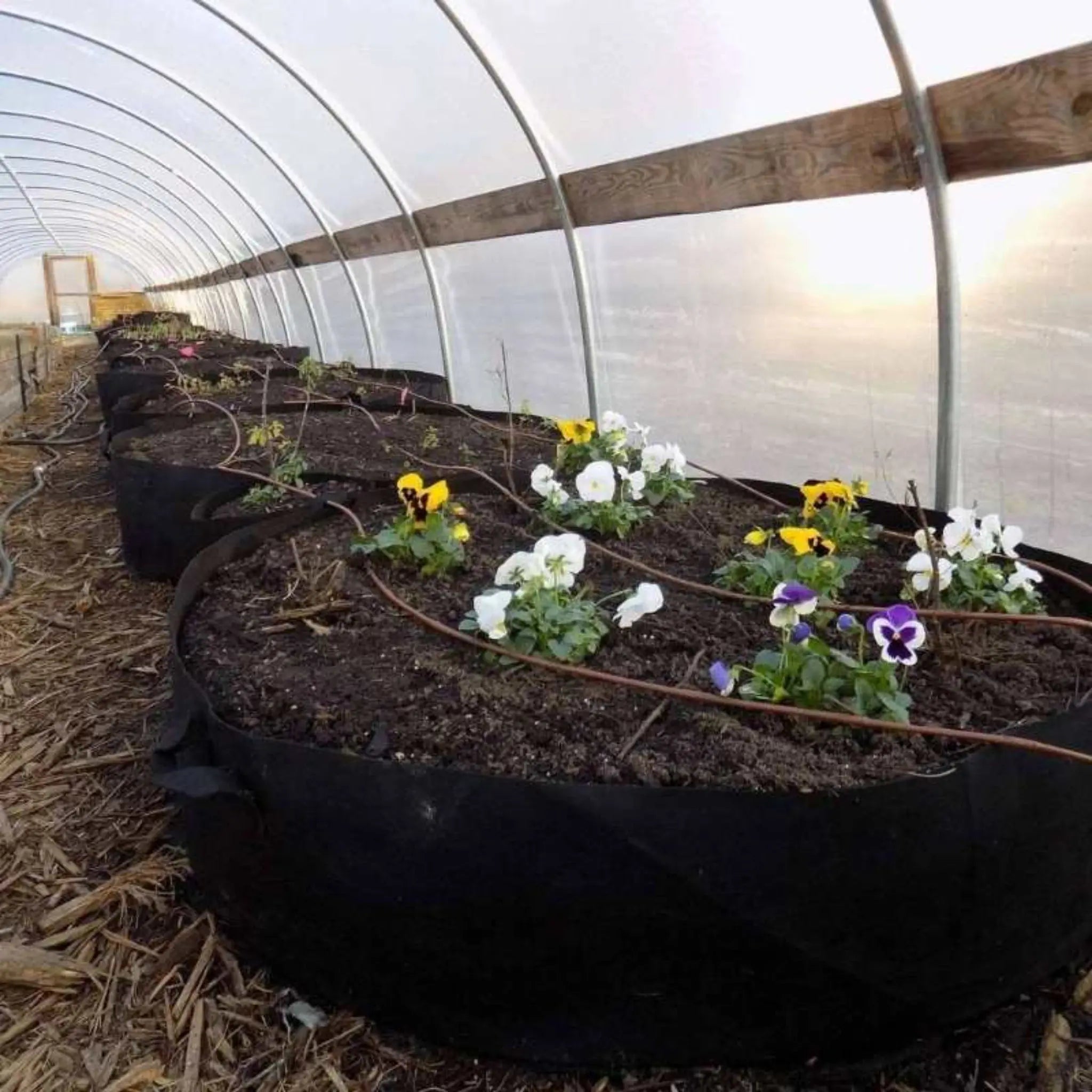 bootstrap-farmer-100-gallon-grow-bag-with-reinforced-handles image 1