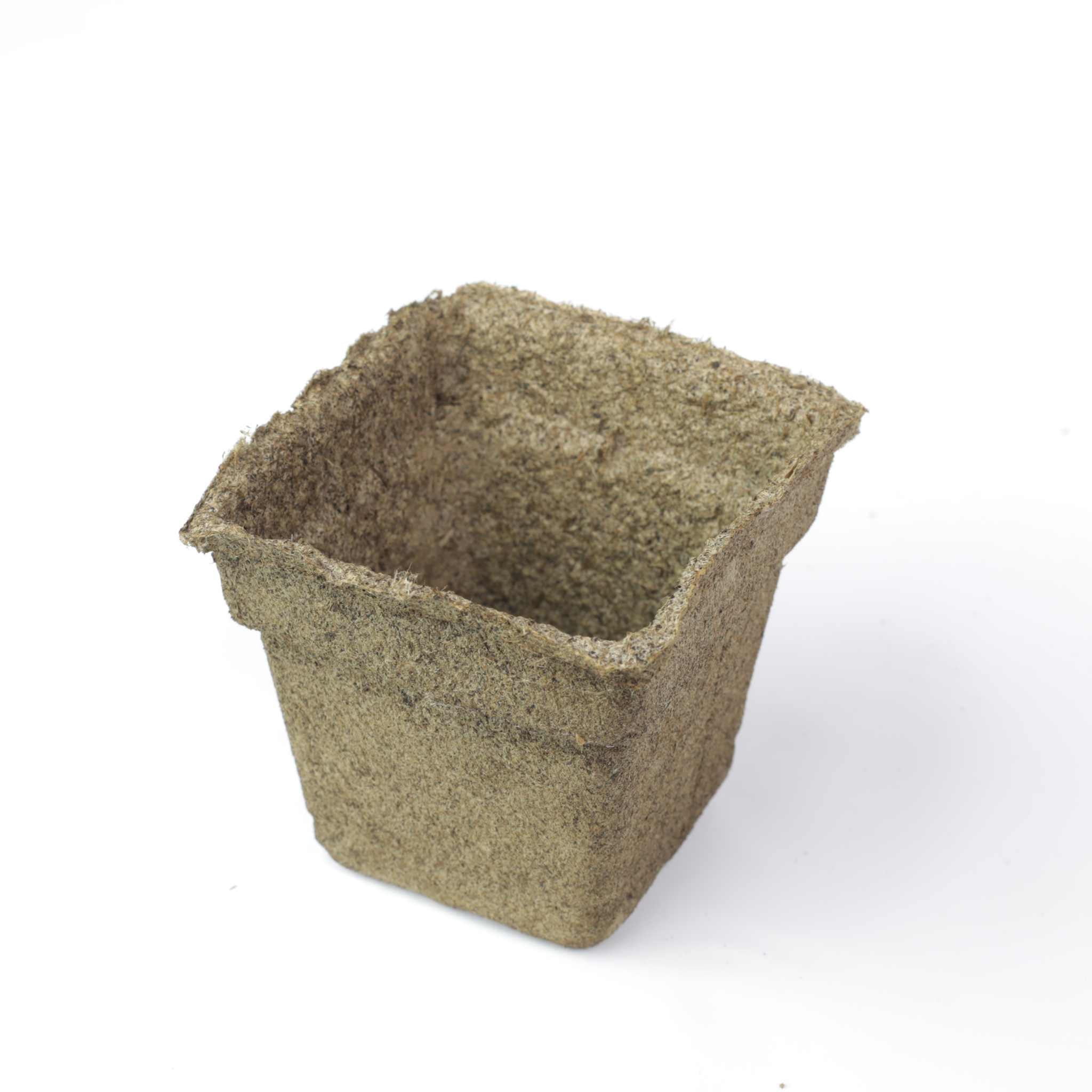 bootstrap-farmer-cowpots-4-square-biodegradable-seed-starting-pots image 5