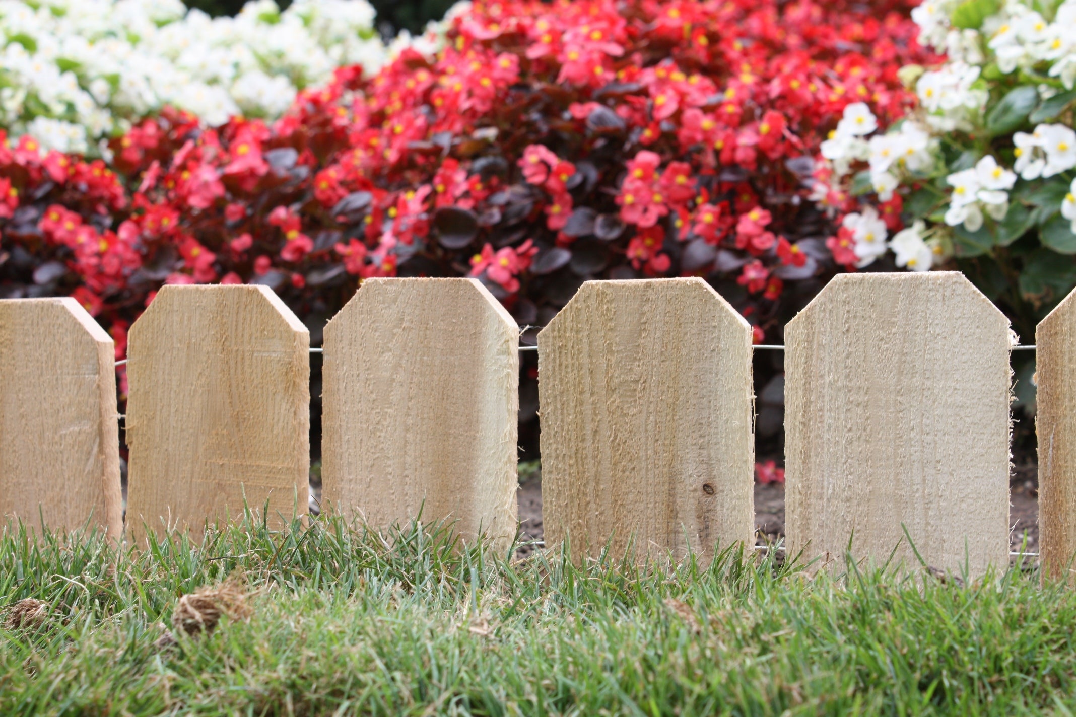greenes-fence-cedar-lawn-edging-10-ft-x-6-in-rc41c image 5