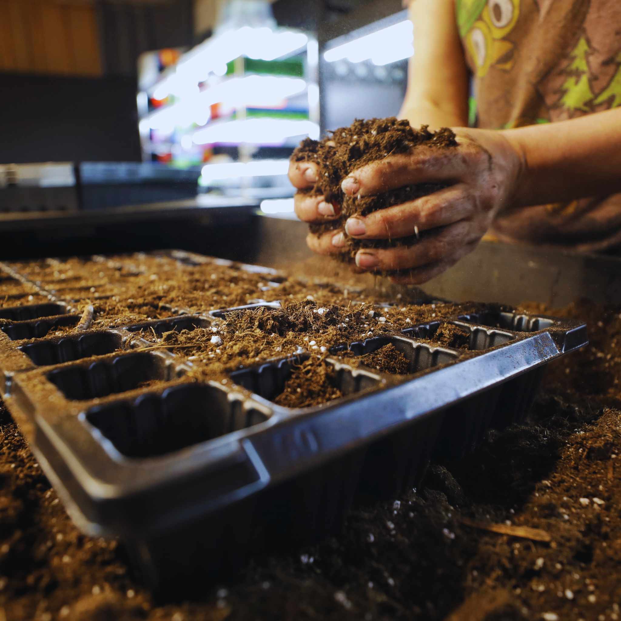 bootstrap-farmer-50-cell-seed-planting-trays-bpa-free-durable-1020-compatible image 4