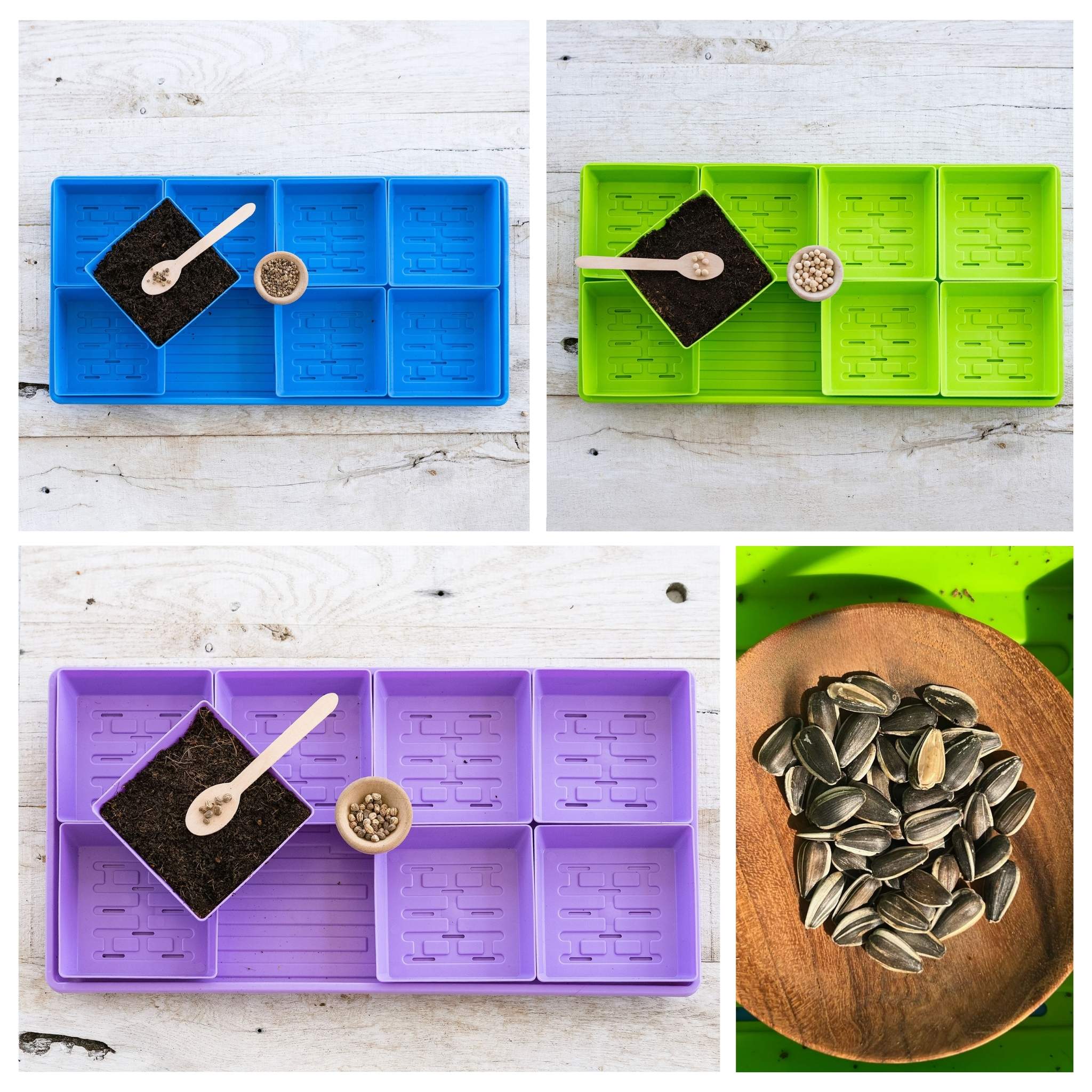 bootstrap-farmer-5x5-microgreens-kit-multicolor-trays-optional-led-grow-light image 6