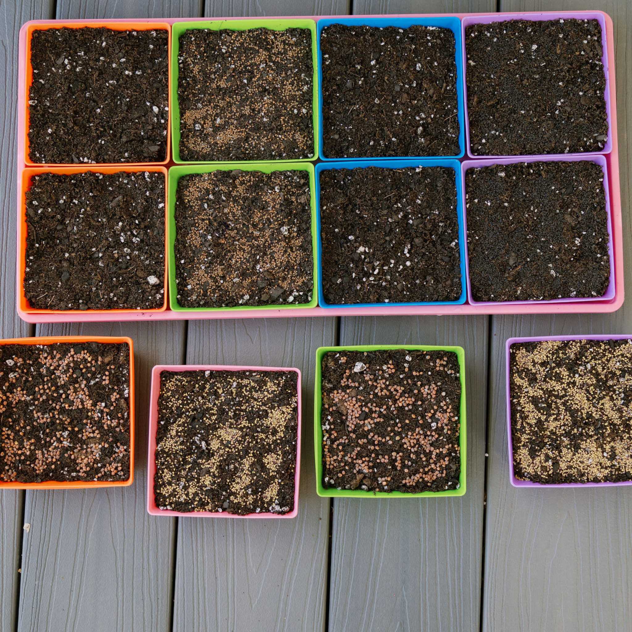 bootstrap-farmer-5x5-extra-strength-shallow-microgreen-trays-8-fit-in-1020-tray image 2