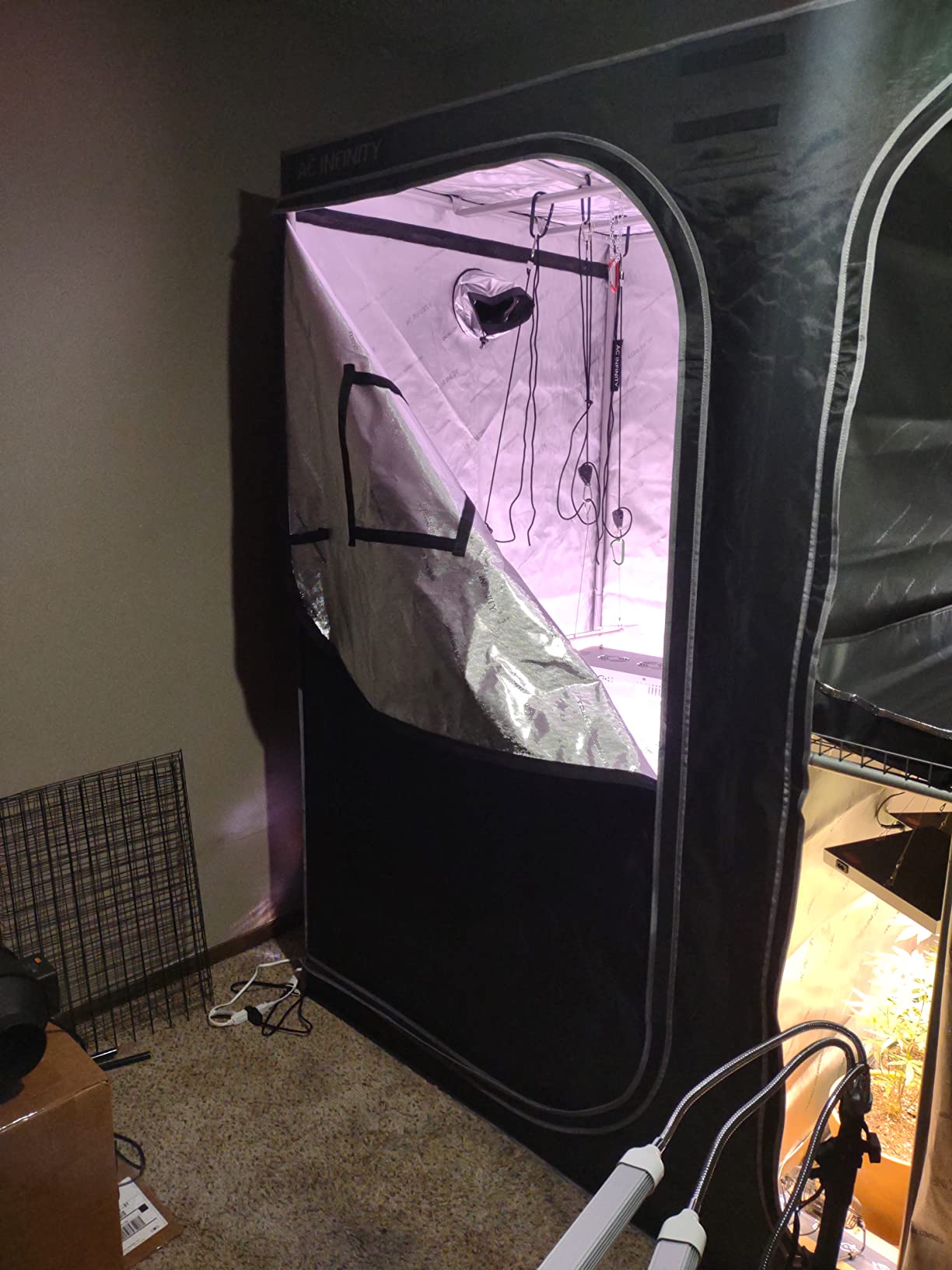 Worth the money