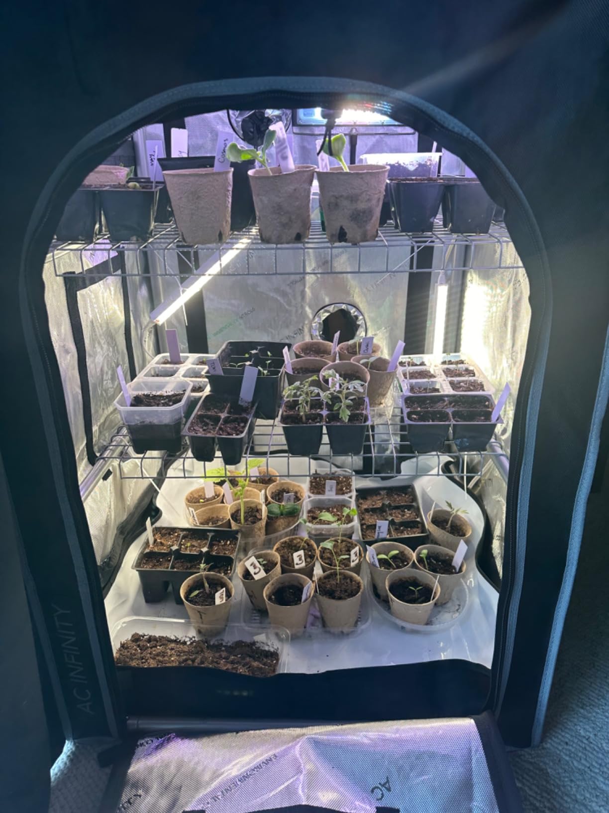 Great for my indoor garden