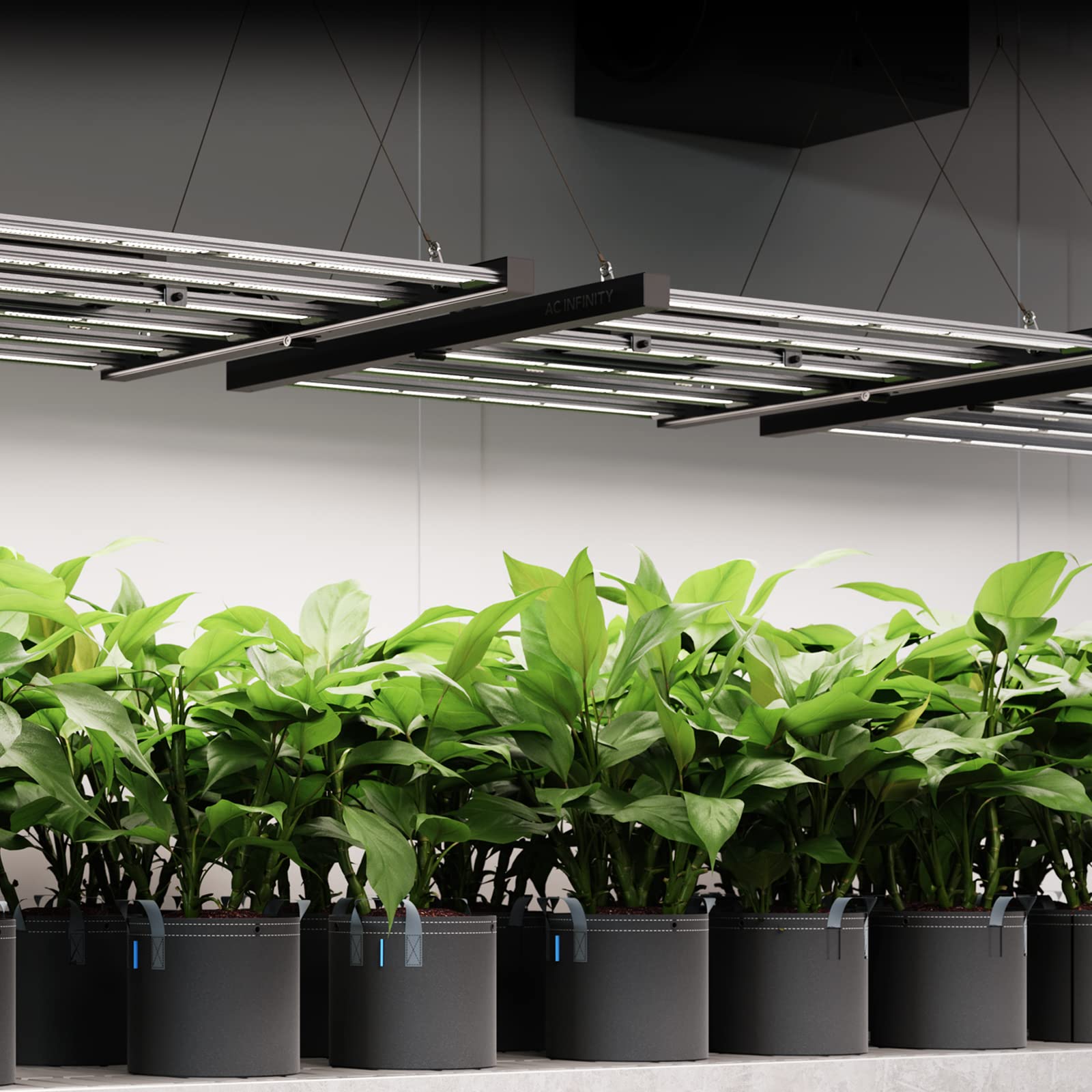 ac-infinity-ionframe-evo8-samsung-lm301h-evo-bar-led-grow-light-5x5-730w-full-sp image 8