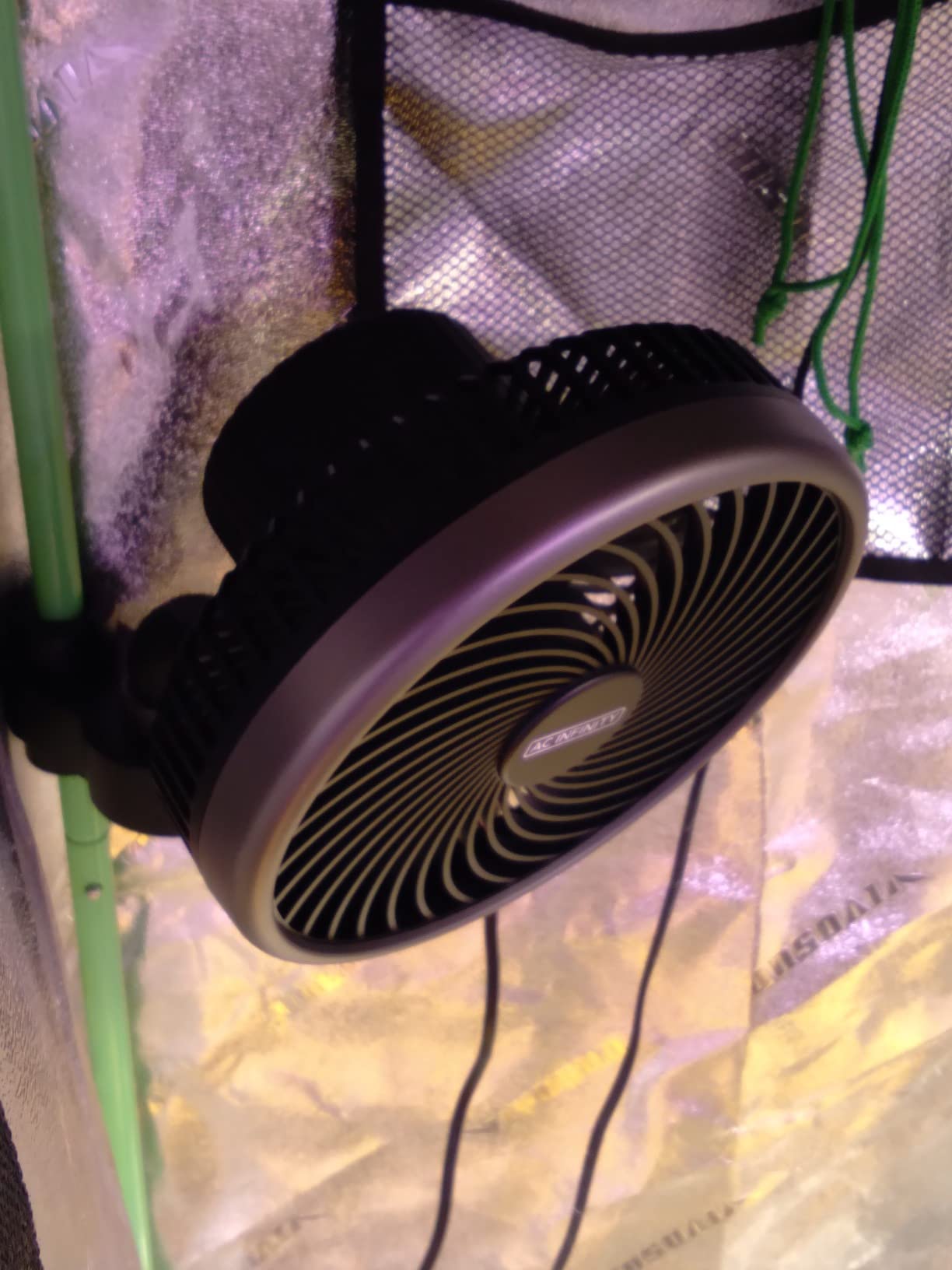 Good fan