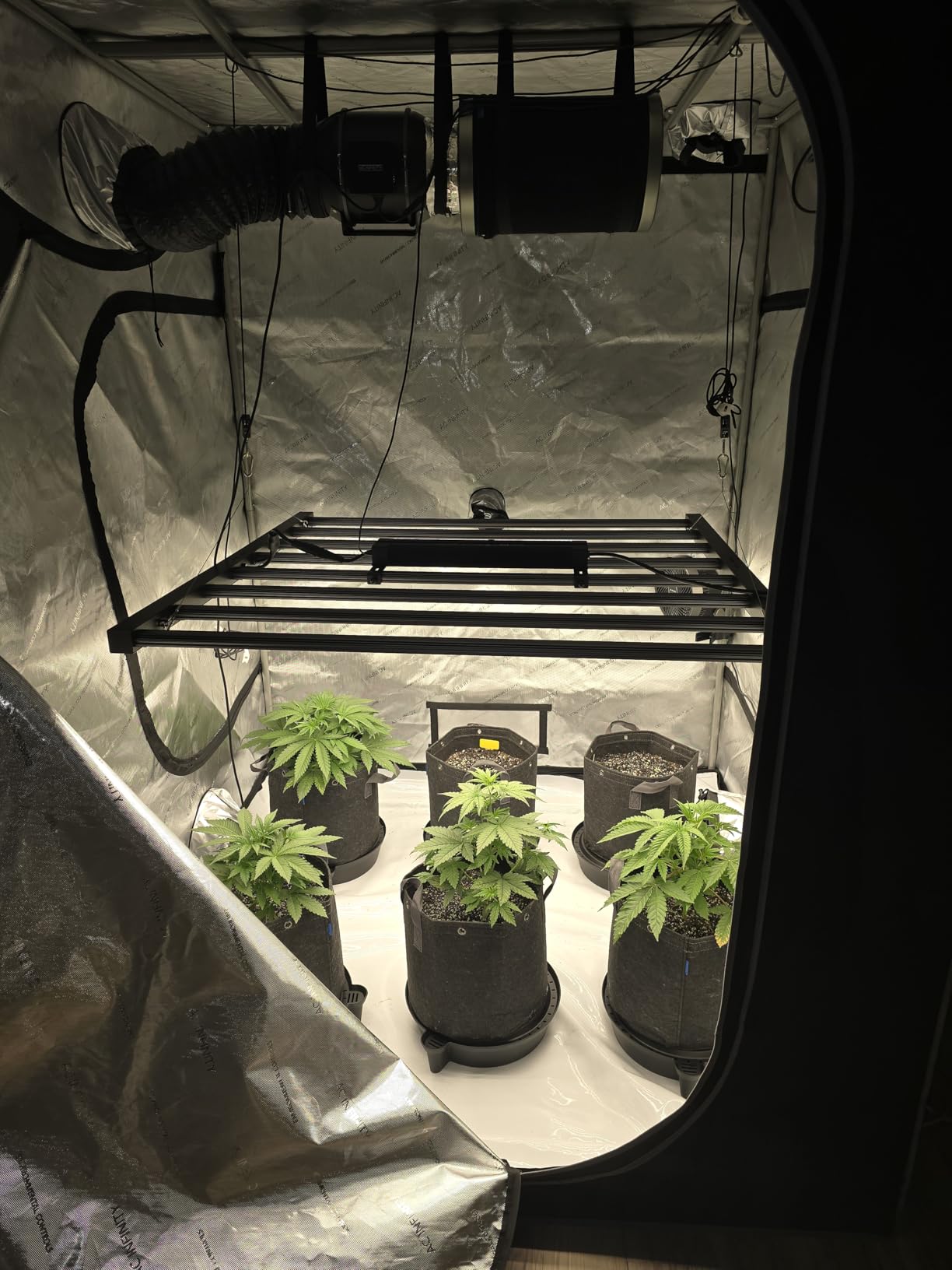 Perfect setup for beginners and pros
