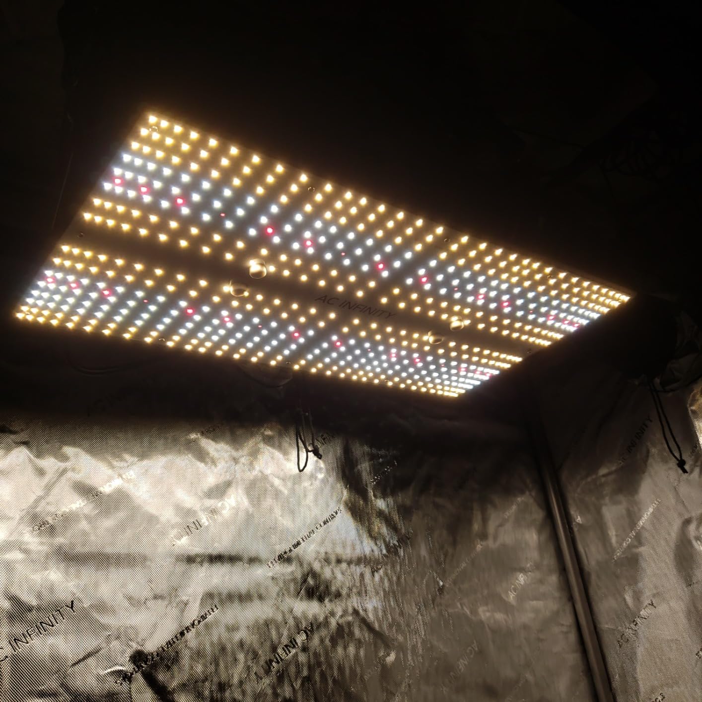 Grow light perfection
