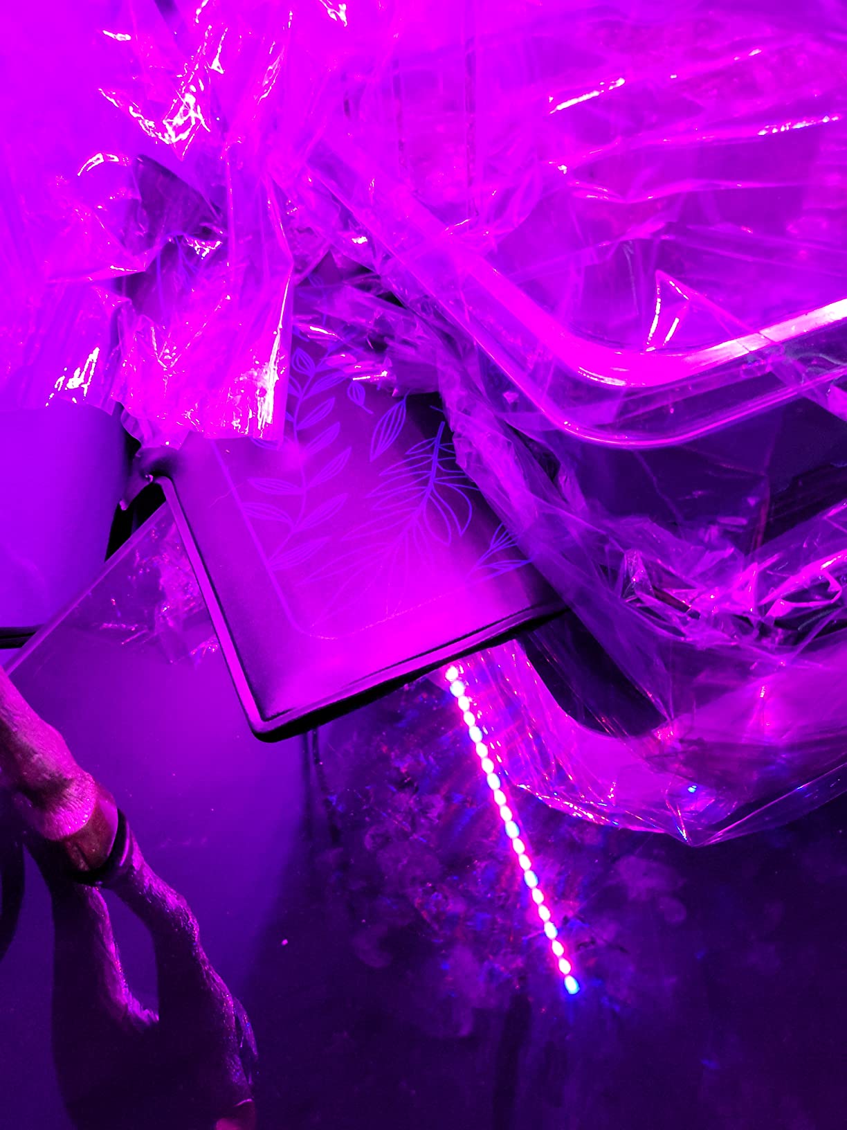 Perfect for seed starting