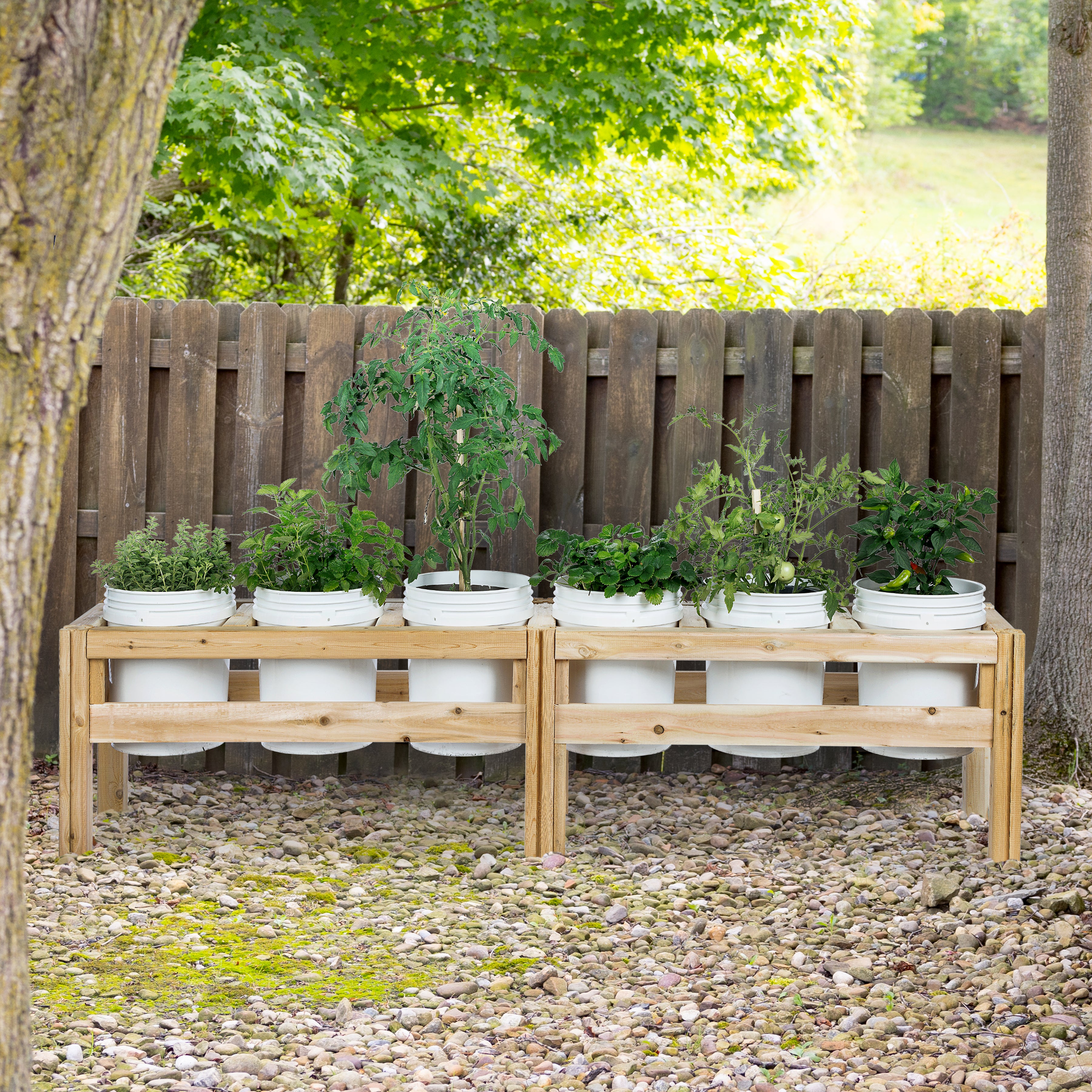 greenes-fence-six-bucket-elevated-cedar-wood-garden-frame-84-in-x-16-in-x-20-or- image 2