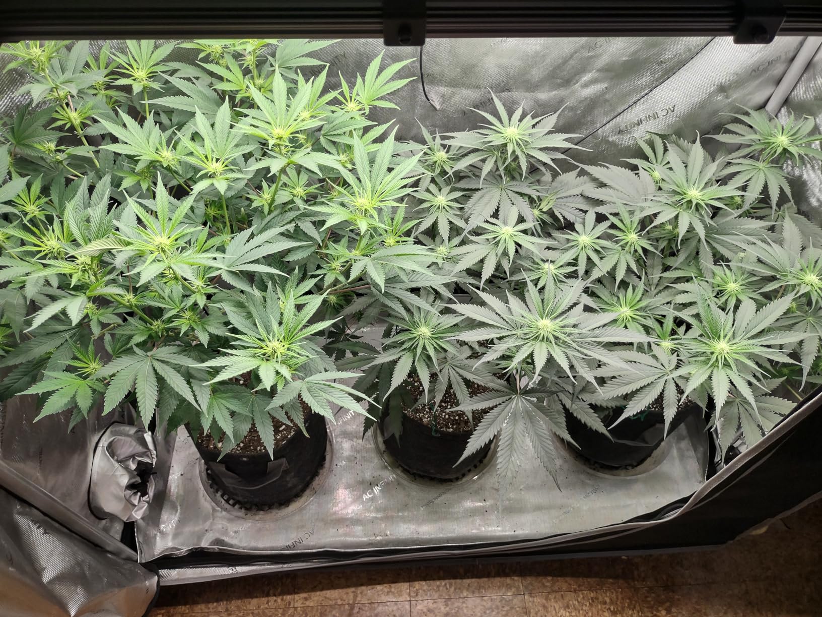 A must-have for serious growers