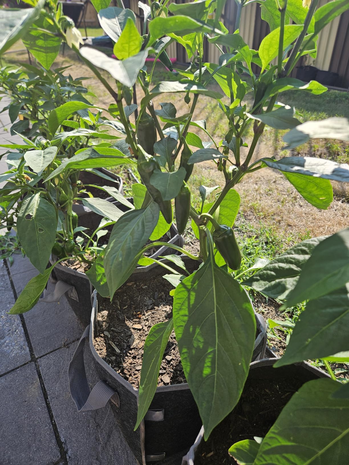 Nice pots, handles could be better