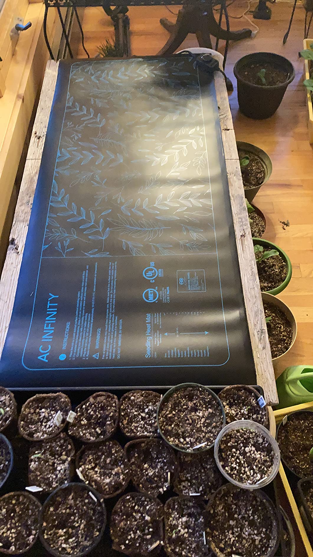 Perfect germination