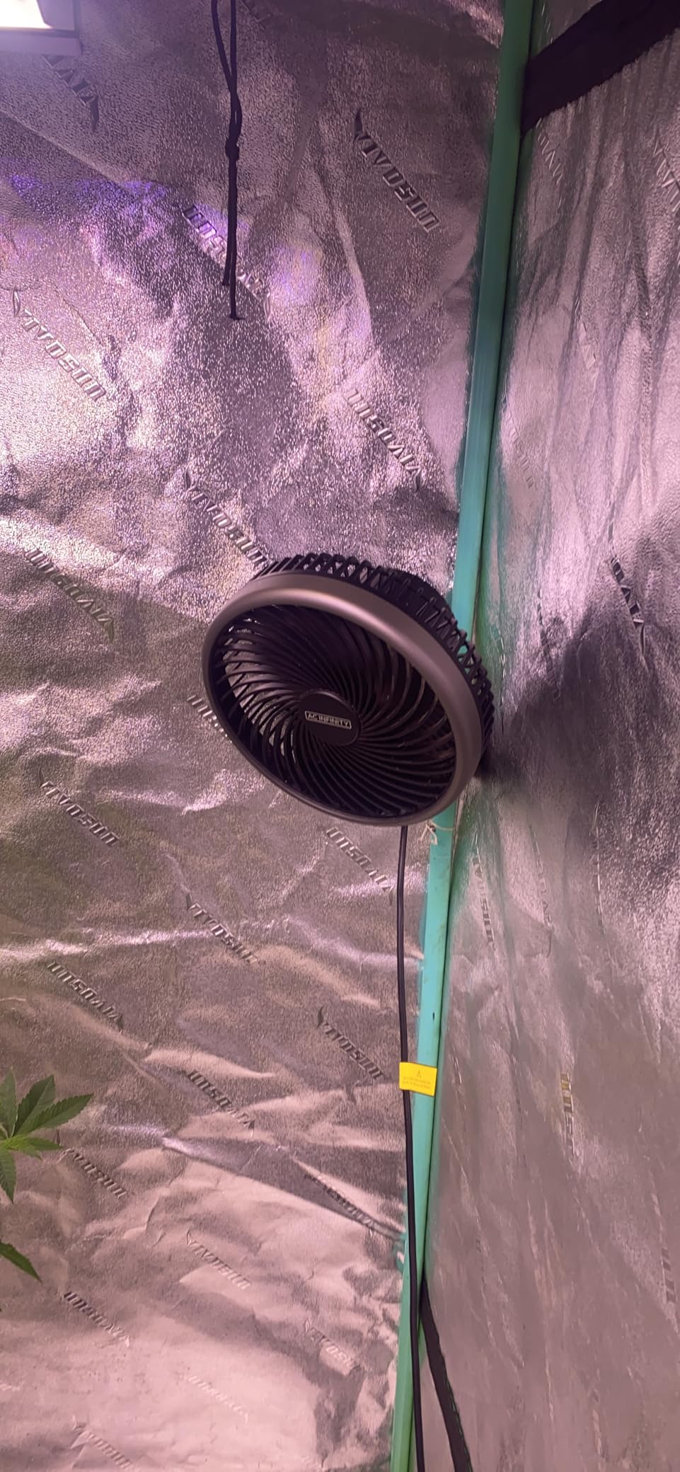 Love this fan