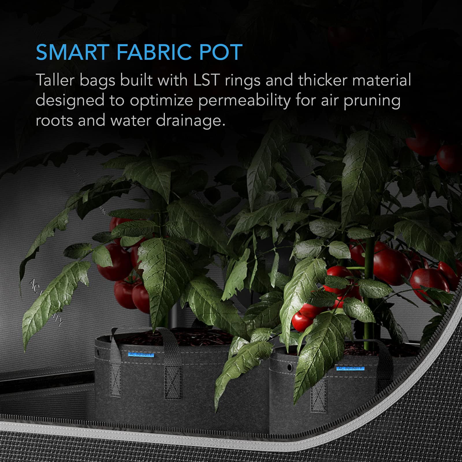 ac-infinity-heavy-duty-fabric-pots-3-gallon-5-pack-with-500g-thick-nonwoven-fabr image 2