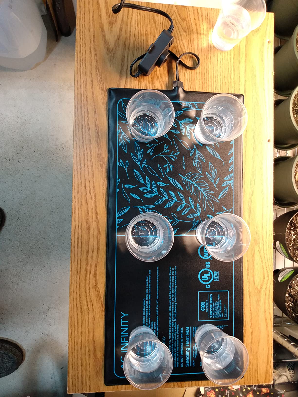 Excellent value