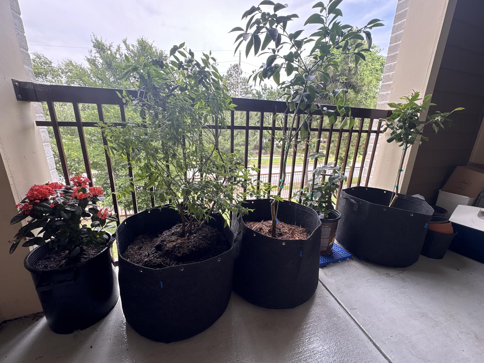 Nice pots