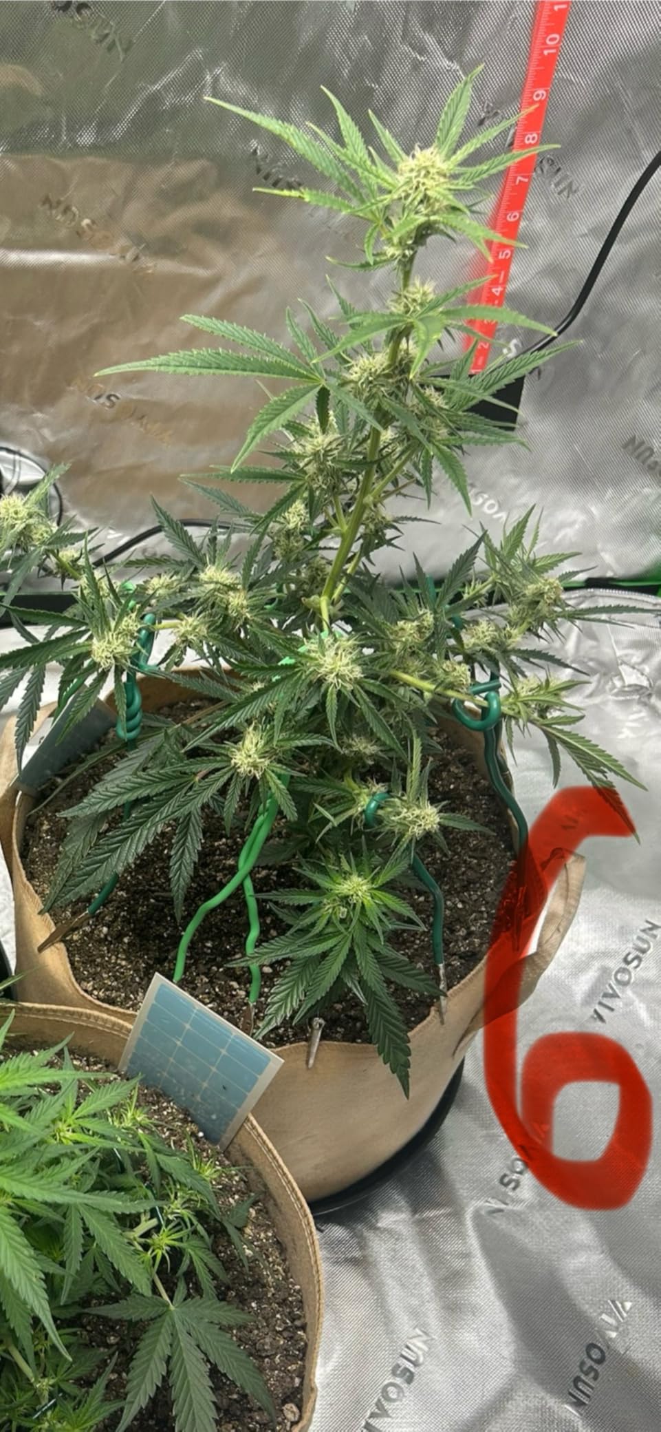 Game changer for my indoor garden