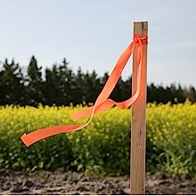 greenes-fence-rc83n-3-ft-wooden-garden-stake-3-4-in-x-3-4-in-untreated-pointed-e image 8