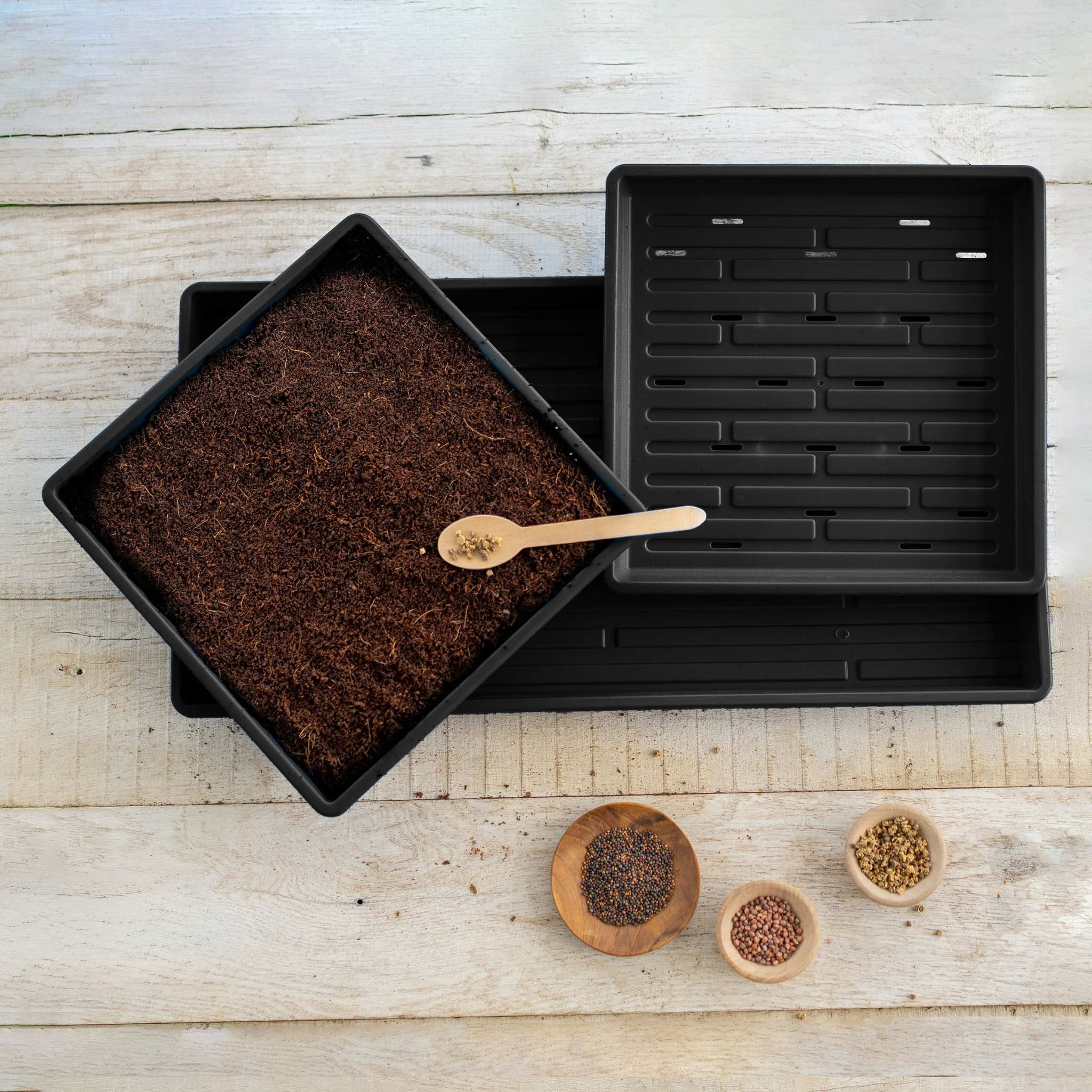 bootstrap-farmer-1010-microgreens-kit-complete-tray-set-for-home-growing image 2