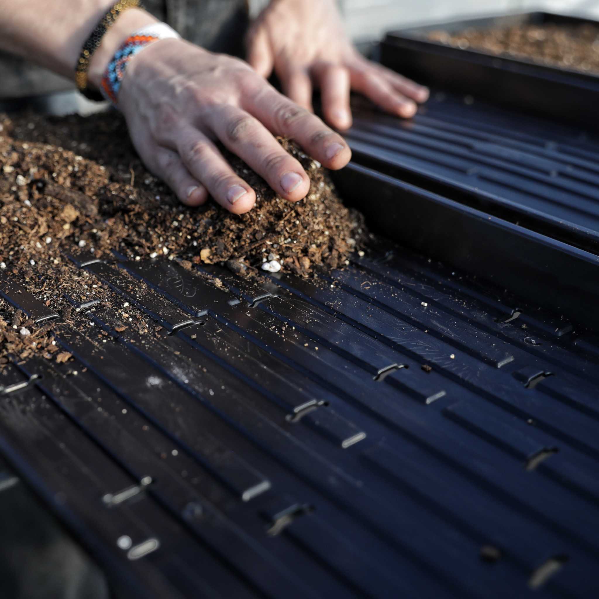 bootstrap-farmer-1020-microgreen-trays-extra-strength-shallow-no-holes-or-with-h image 2