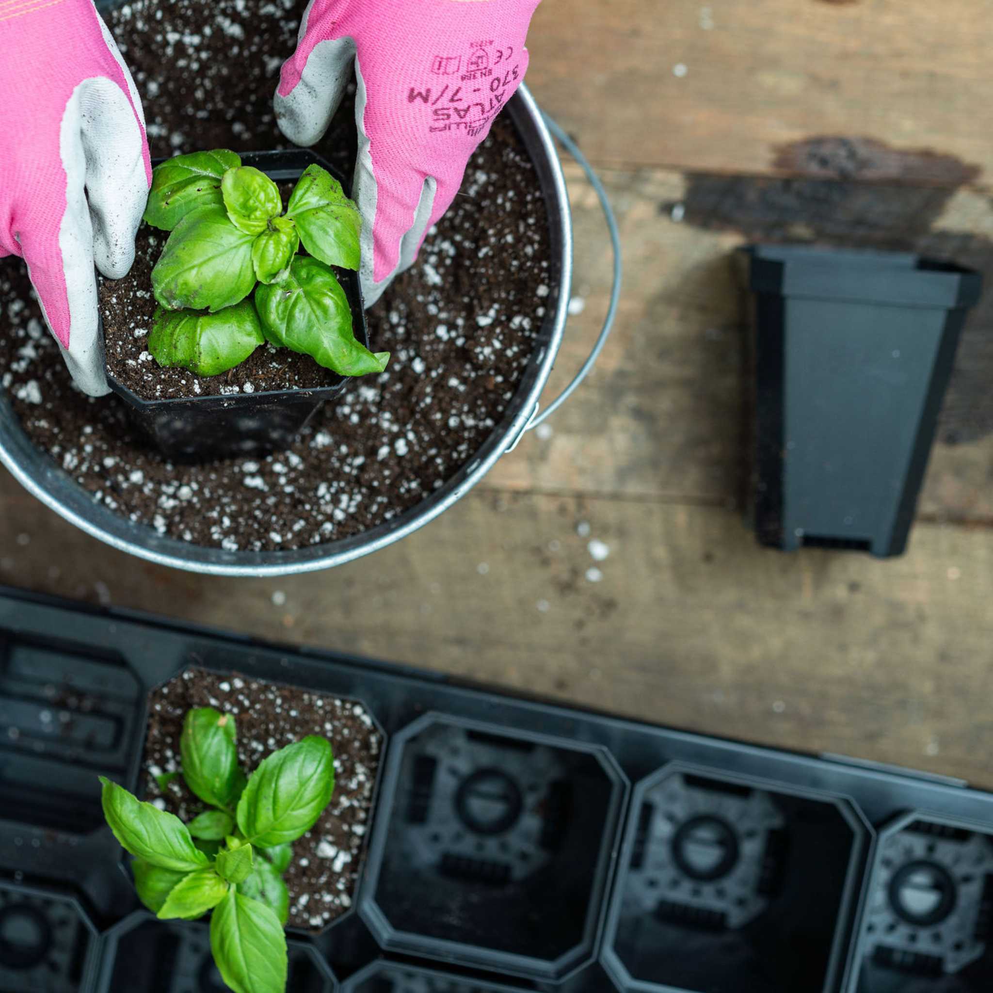 bootstrap-farmer-3-3-heavy-duty-seed-starting-pots-with-inserts-18-cells-fits-10 image 5