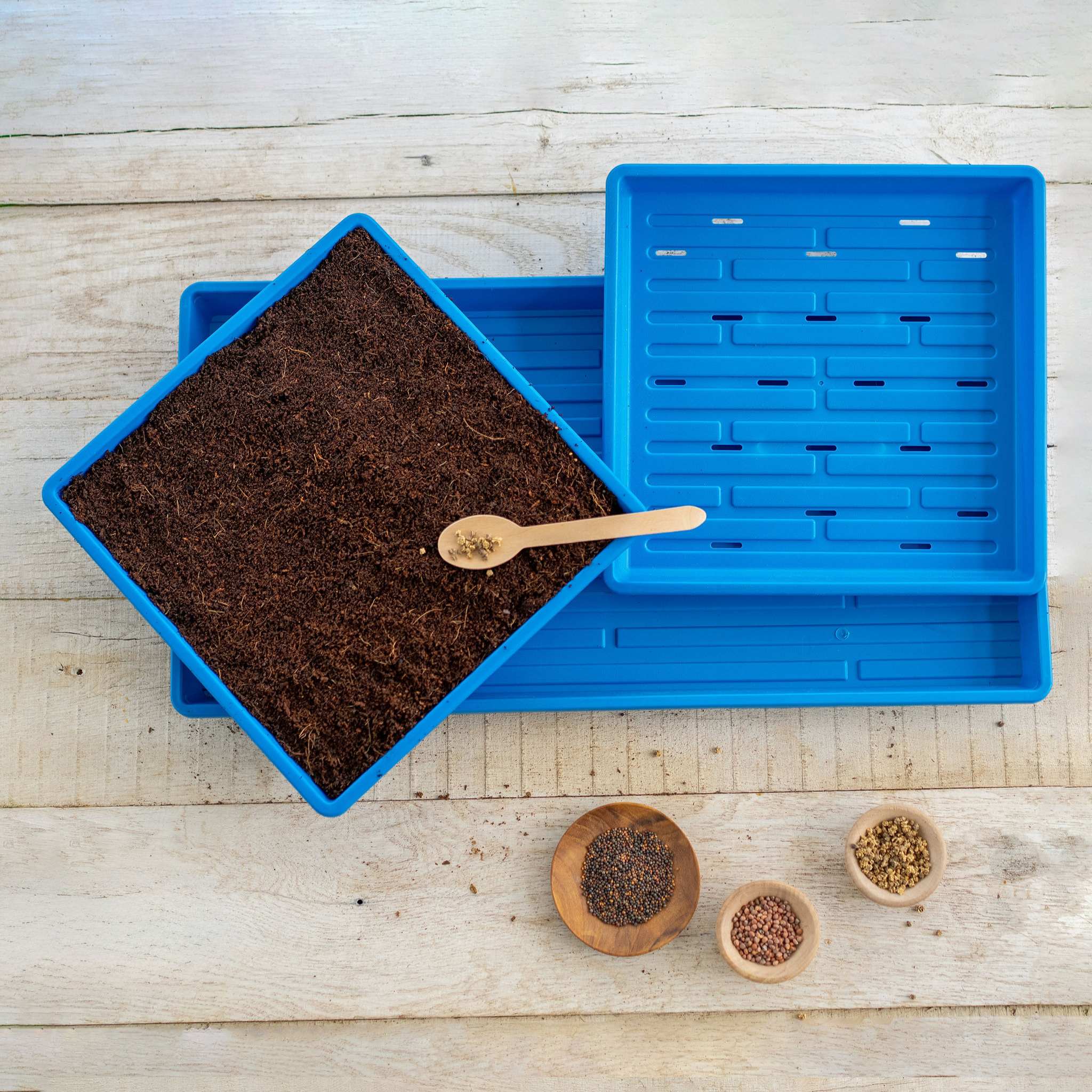 bootstrap-farmer-1010-microgreens-kit-complete-tray-set-for-home-growing image 6