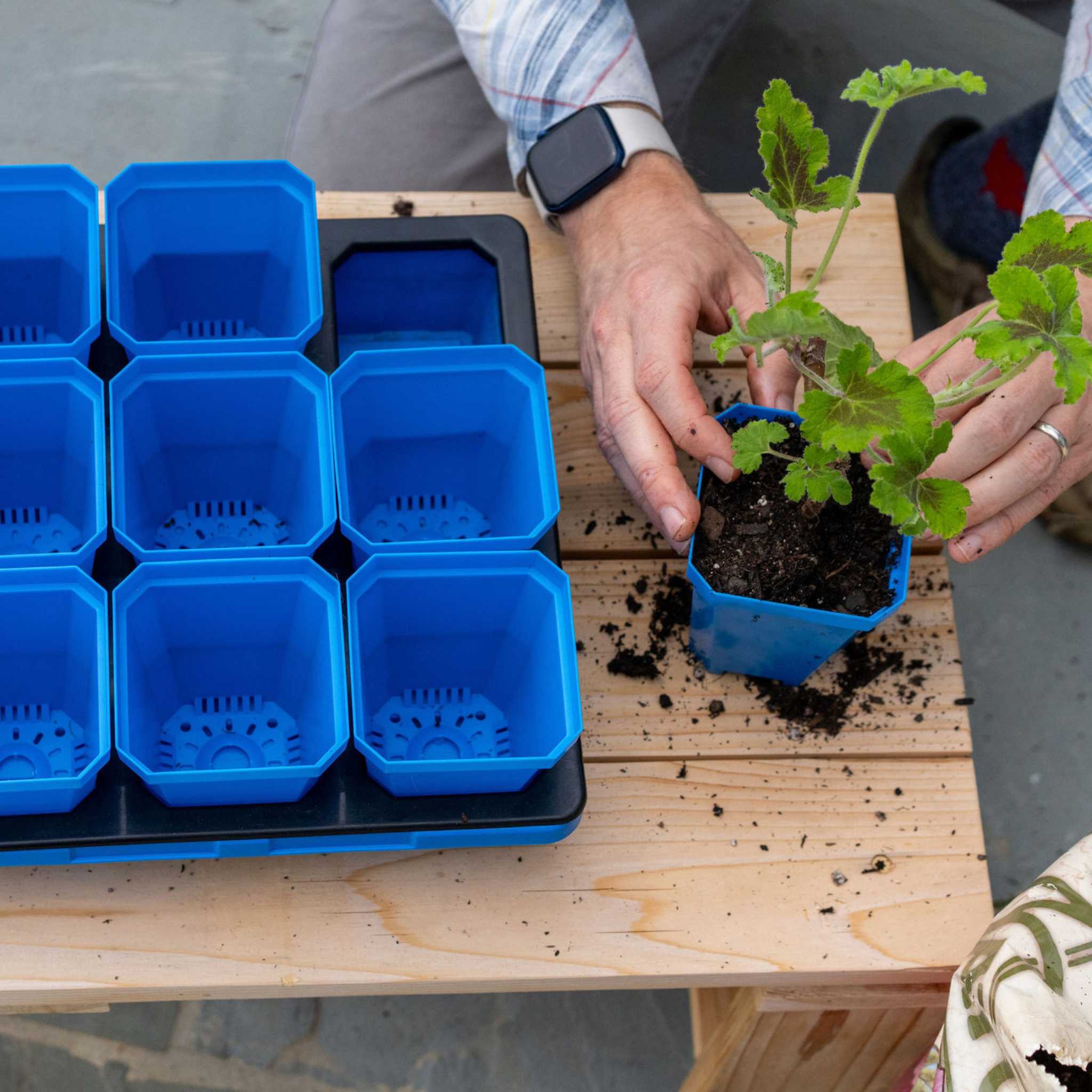 bootstrap-farmer-3-3-heavy-duty-seed-starting-pots-with-inserts-18-cells-fits-10 image 8