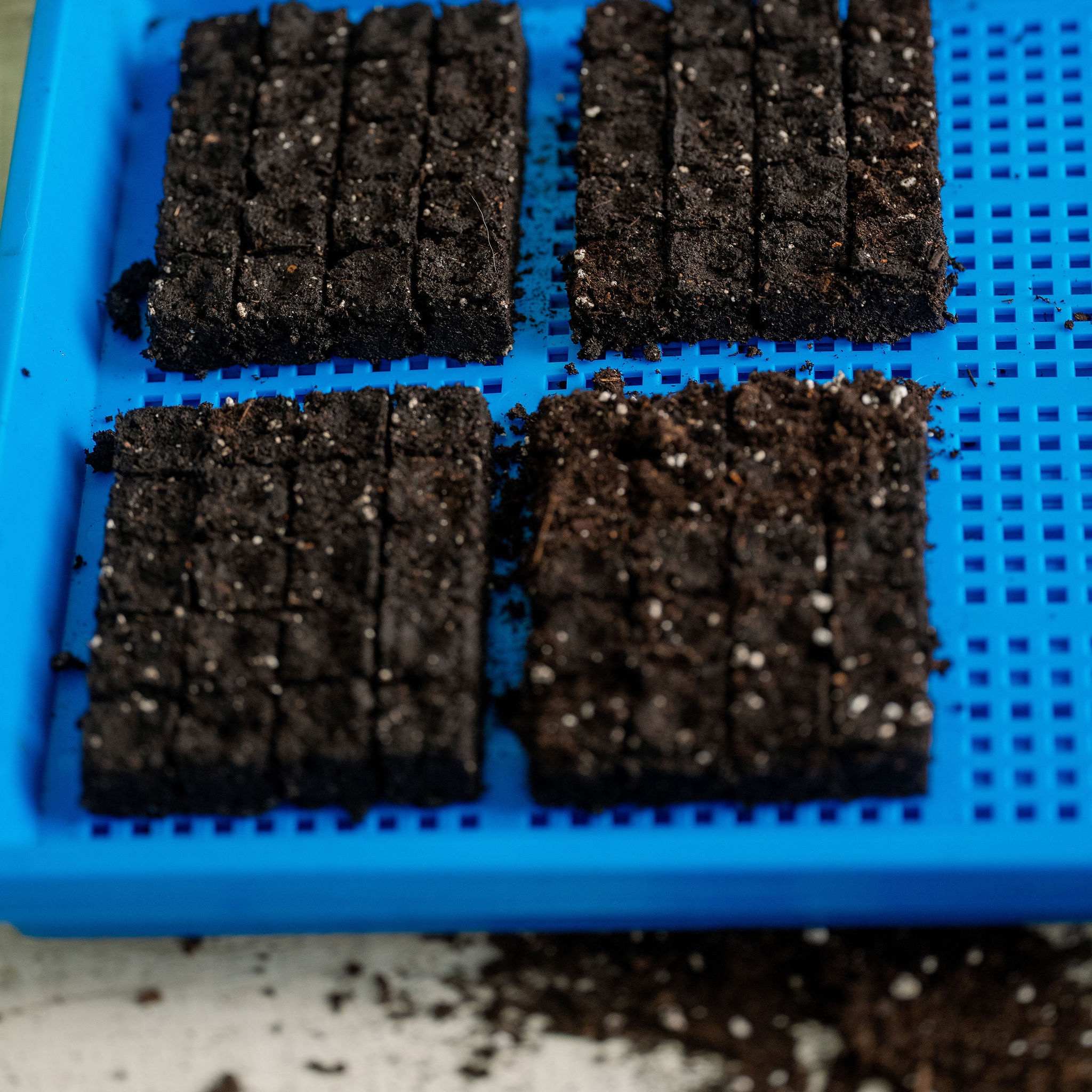 bootstrap-farmer-1020-mesh-shallow-tray-extra-strength-1-deep-heavy-duty-microgr image 4