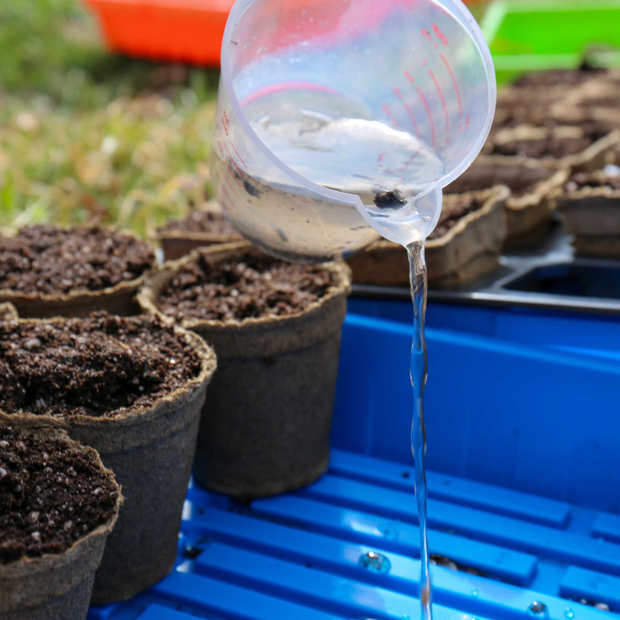 bootstrap-farmer-cowpots-3-round-biodegradable-seed-starter-pots image 5