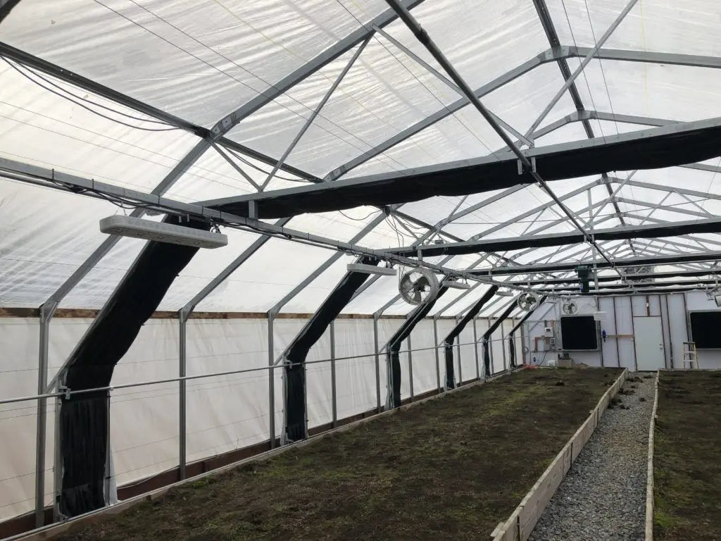 bootstrap-farmer-high-diffusion-6-mil-open-uv-greenhouse-plastic-5-layer-anti-dr image 2