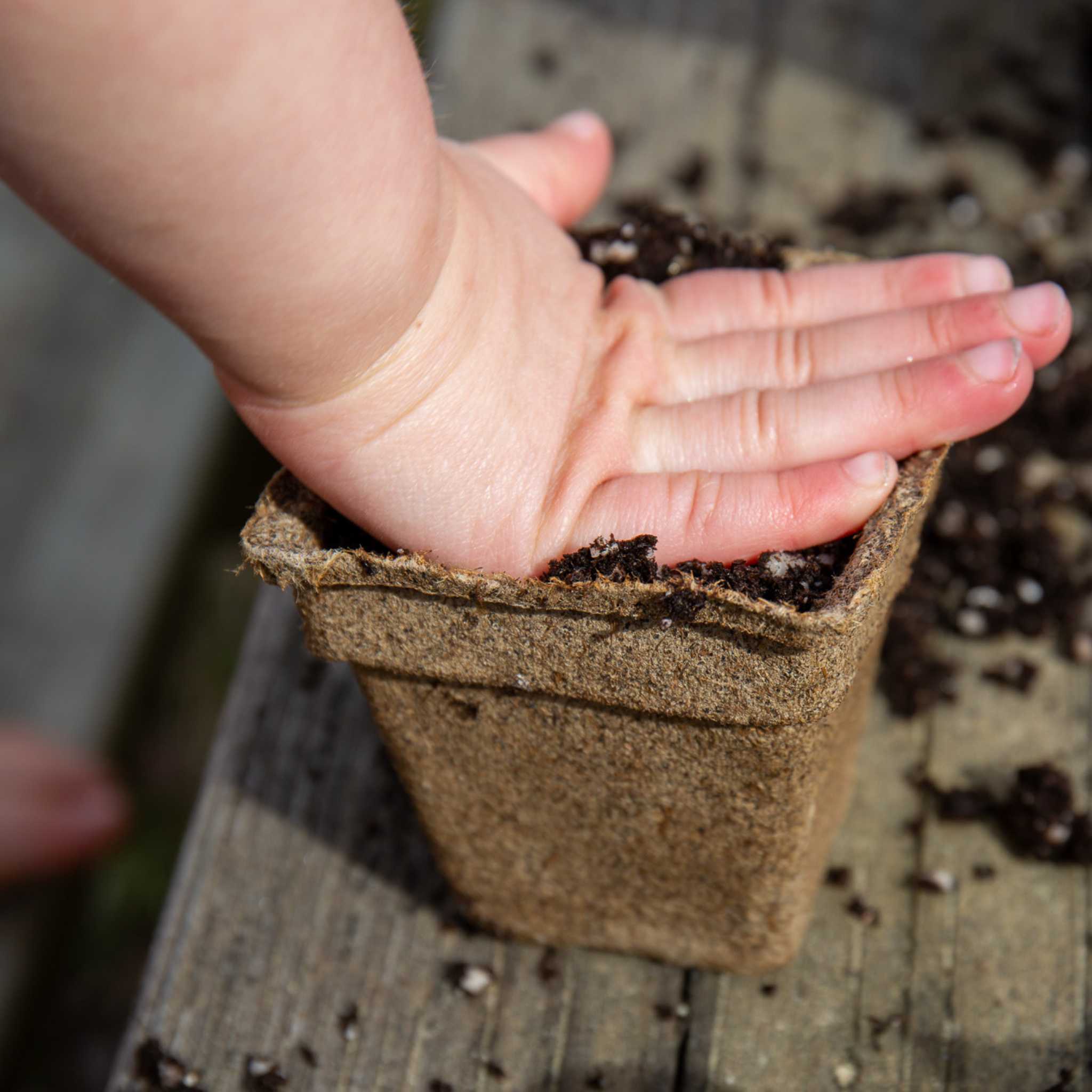 bootstrap-farmer-cowpots-starter-kit-with-extra-strength-1020-tray-and-3-insert- image 2
