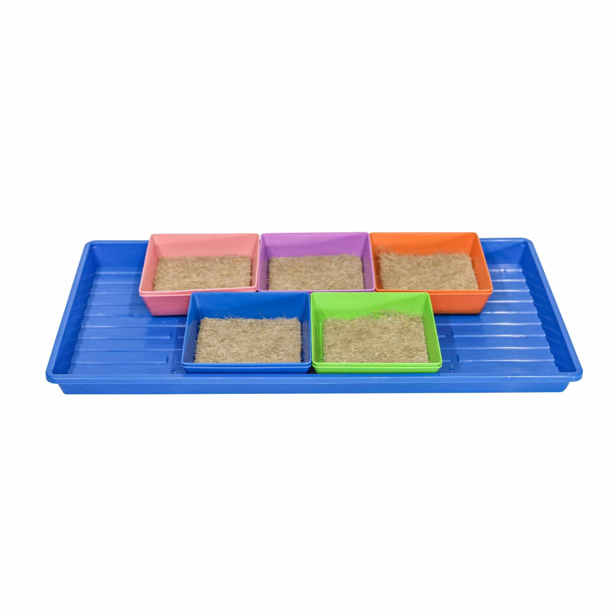 bootstrap-farmer-classroom-microgreens-bundle-complete-stem-kit image 2