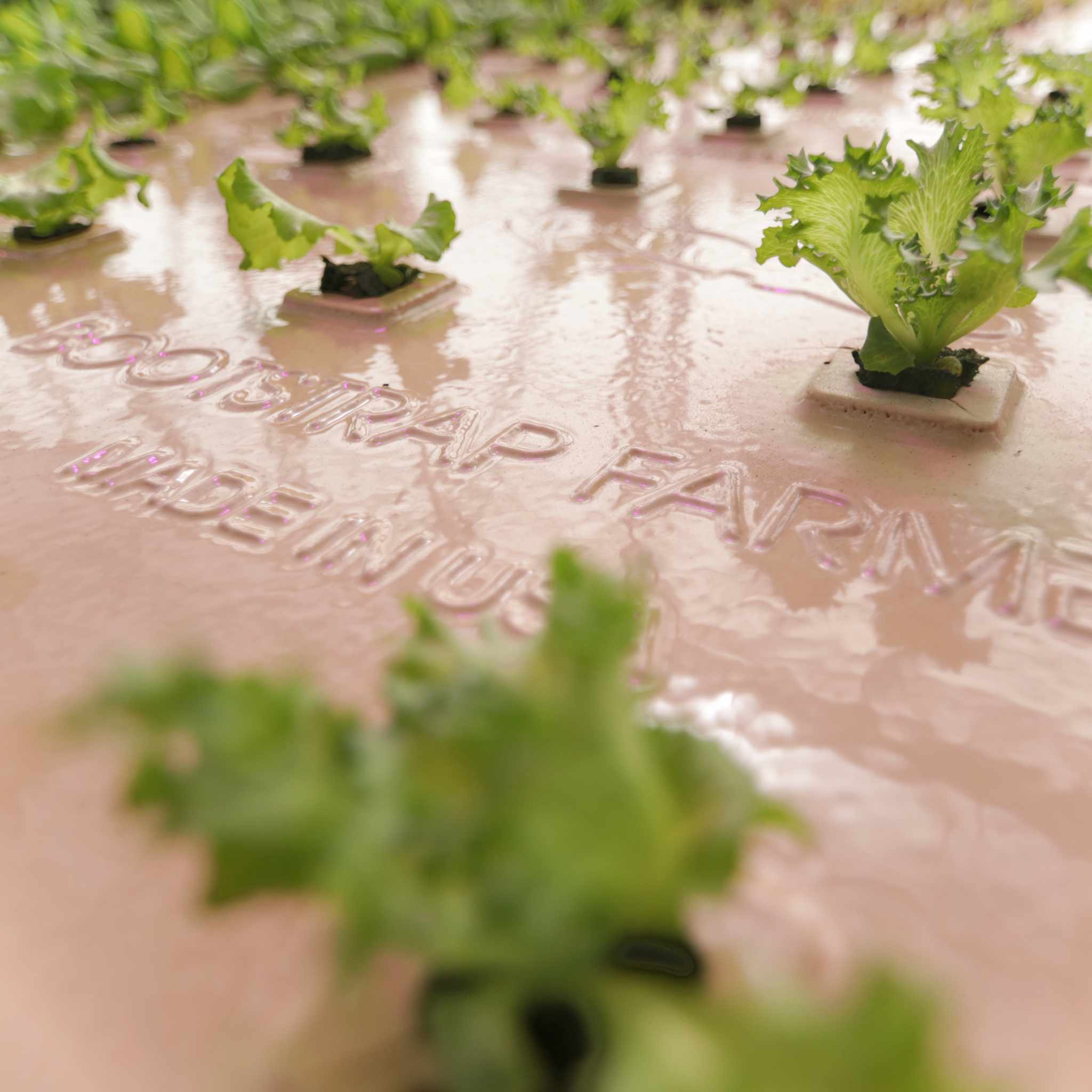 bootstrap-farmer-usa-made-deep-water-greens-raft image 8