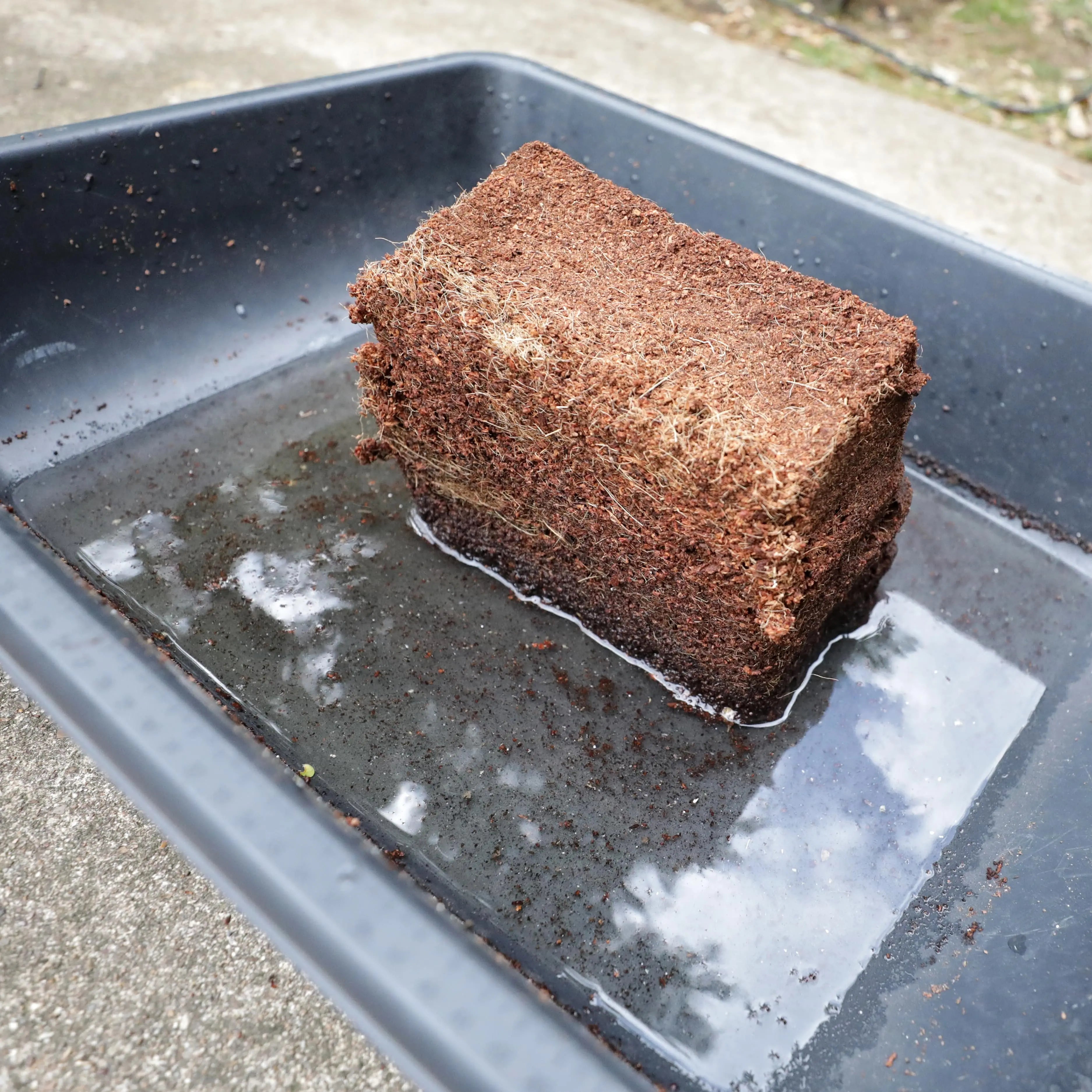 bootstrap-farmer-coco-coir-brick-1-3-cu-ft-1-37-lbs image 6