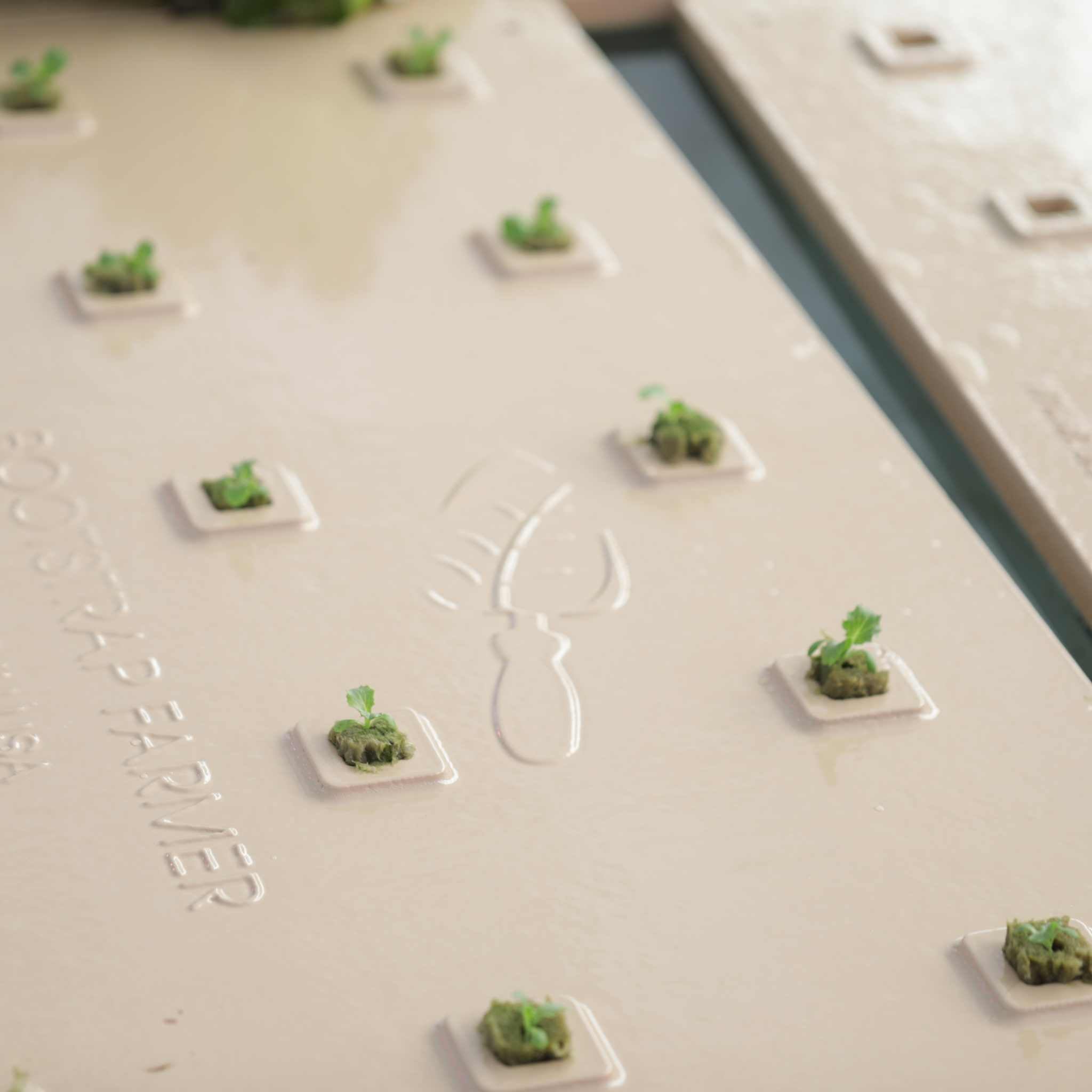 bootstrap-farmer-usa-made-deep-water-greens-raft image 5