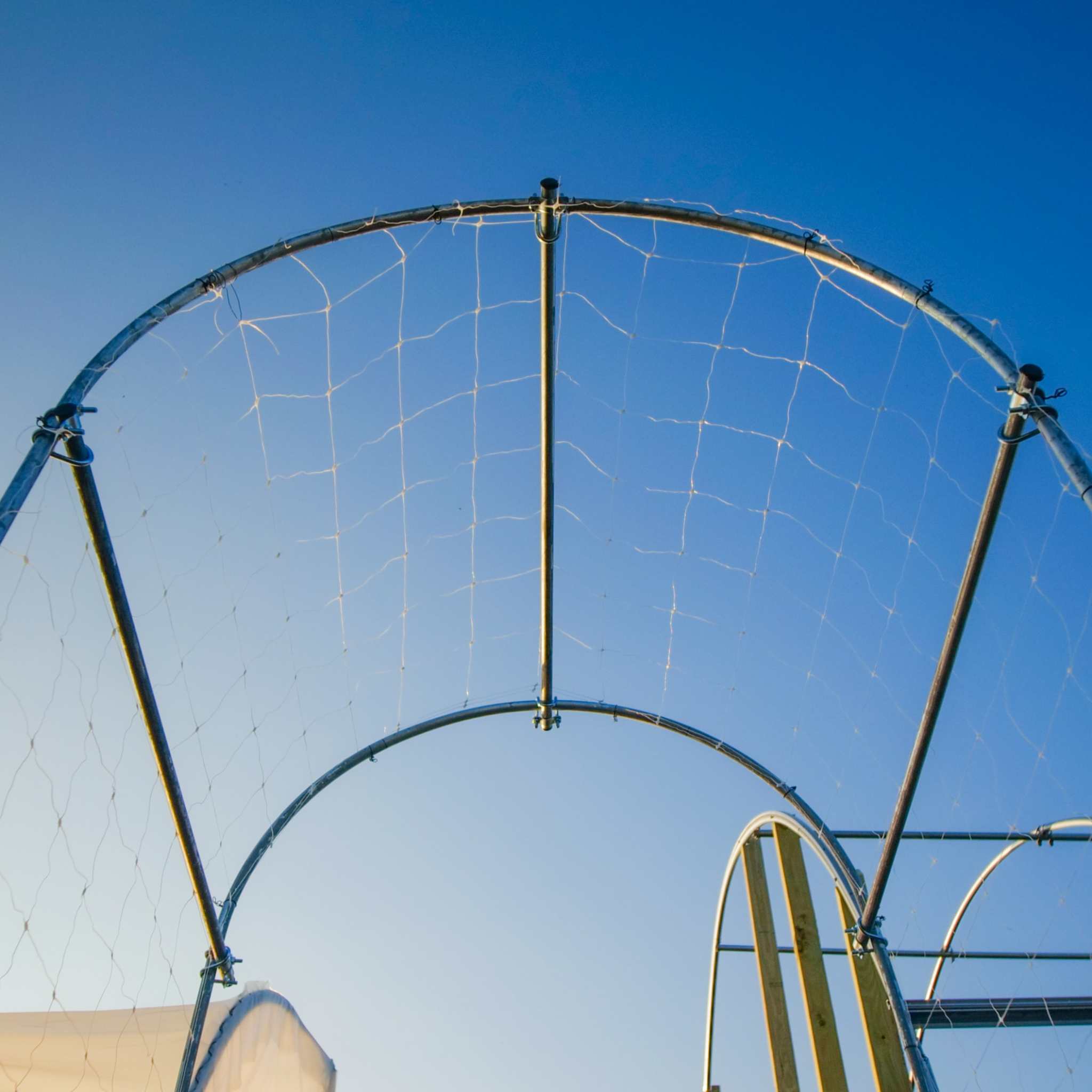 bootstrap-farmer-diy-garden-arch image 3