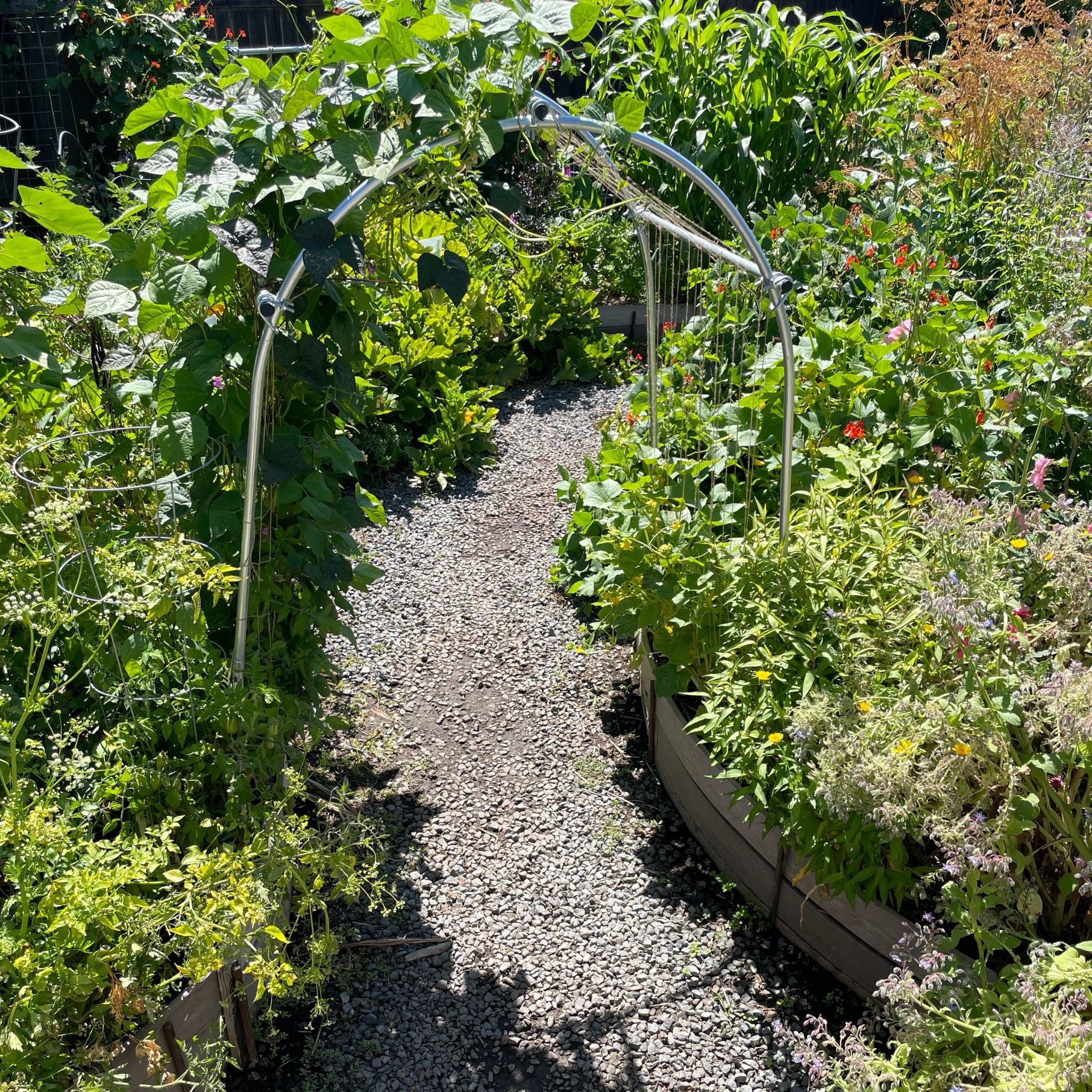 bootstrap-farmer-diy-garden-arch image 5