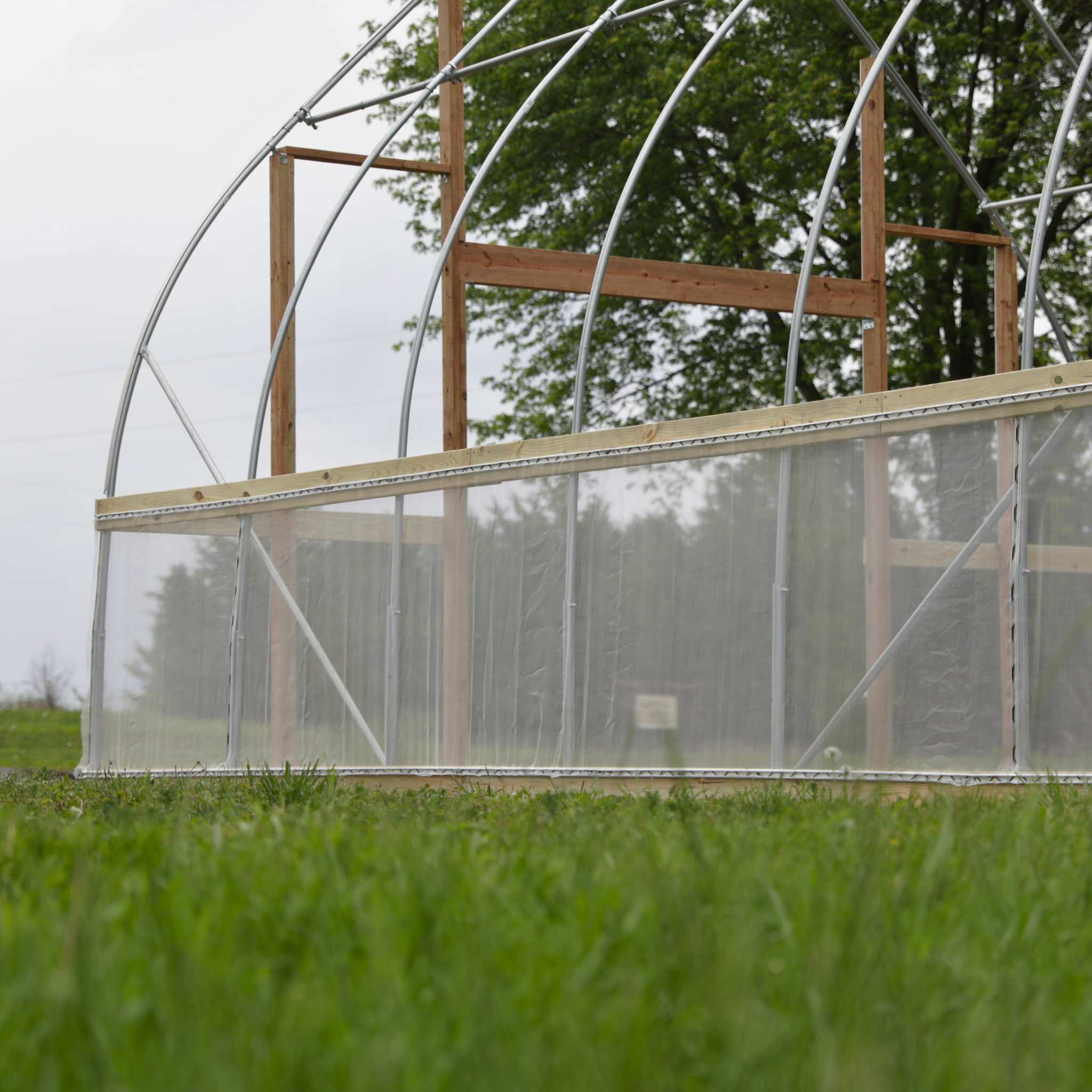 bootstrap-farmer-diy-gothic-greenhouse-kit image 7